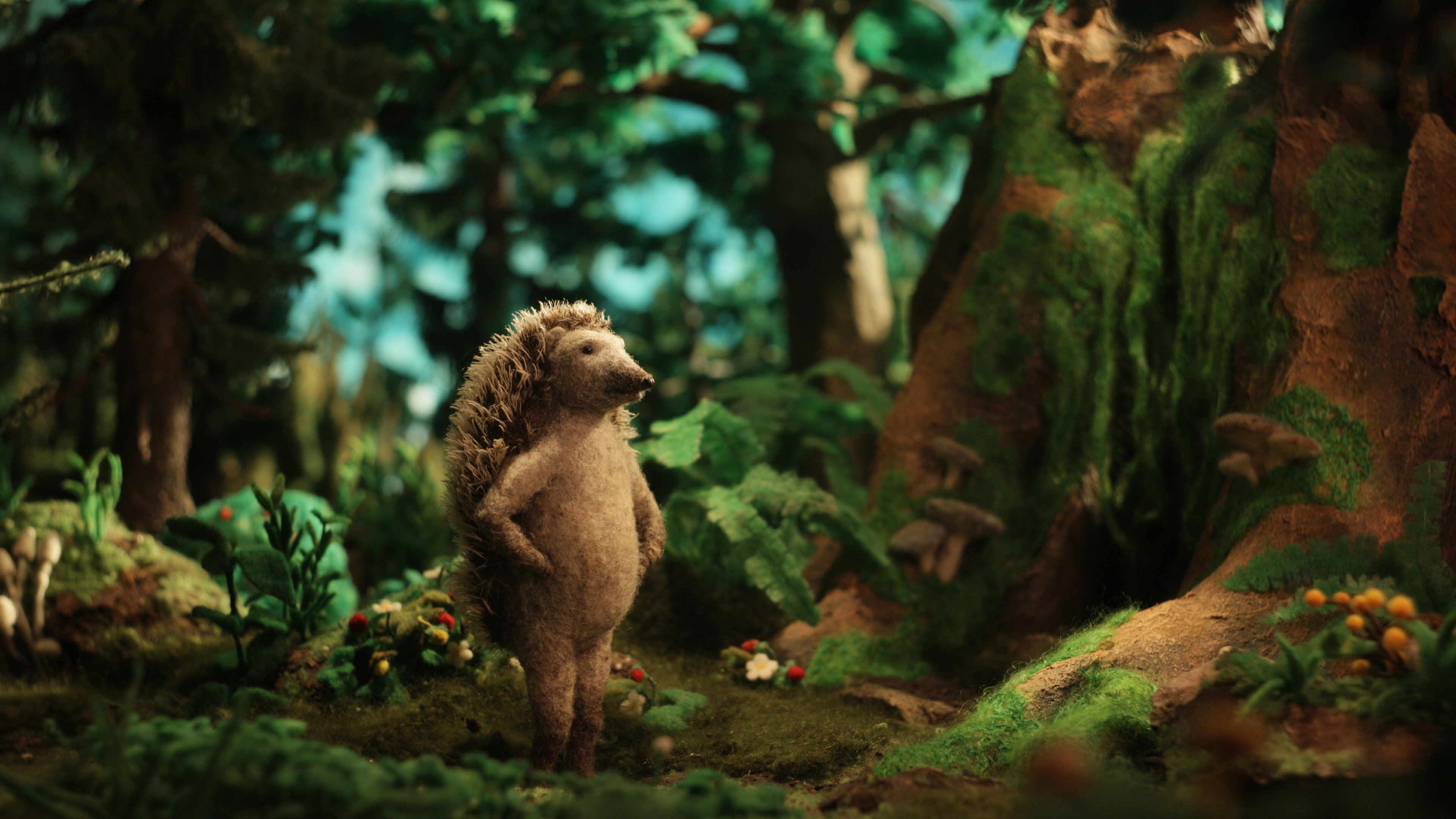 Hedgehog's Home's poster