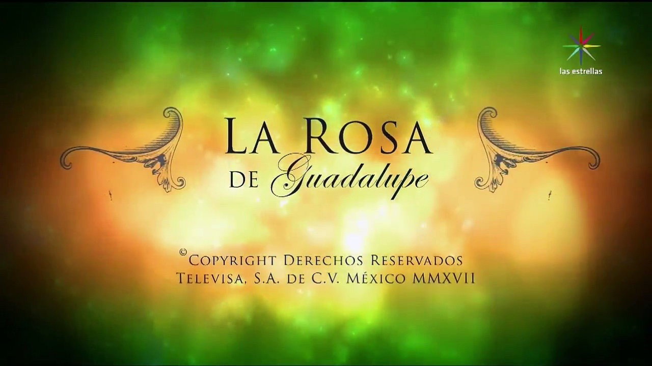 La rosa de Guadalupe's poster