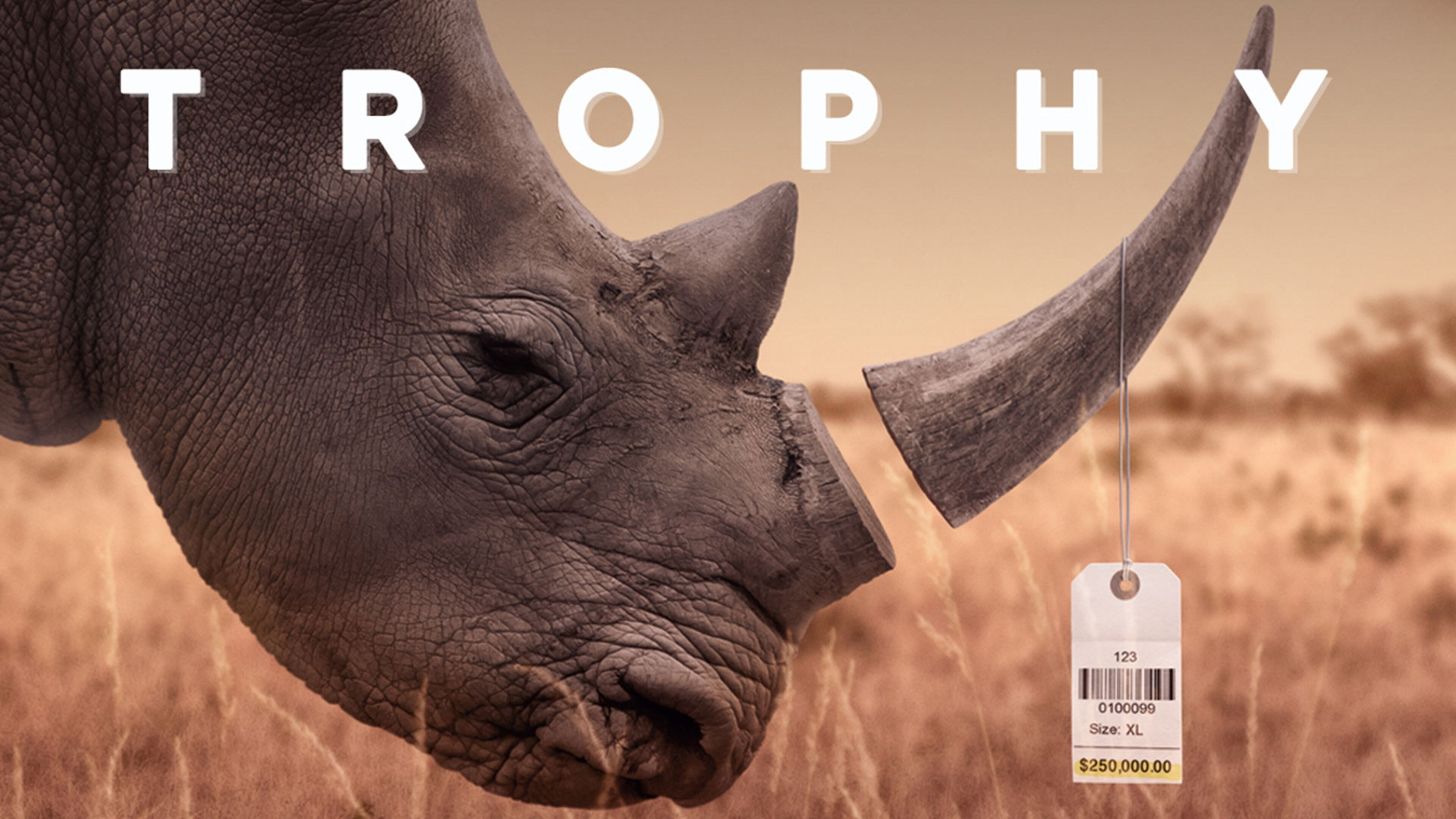 Trophy's poster