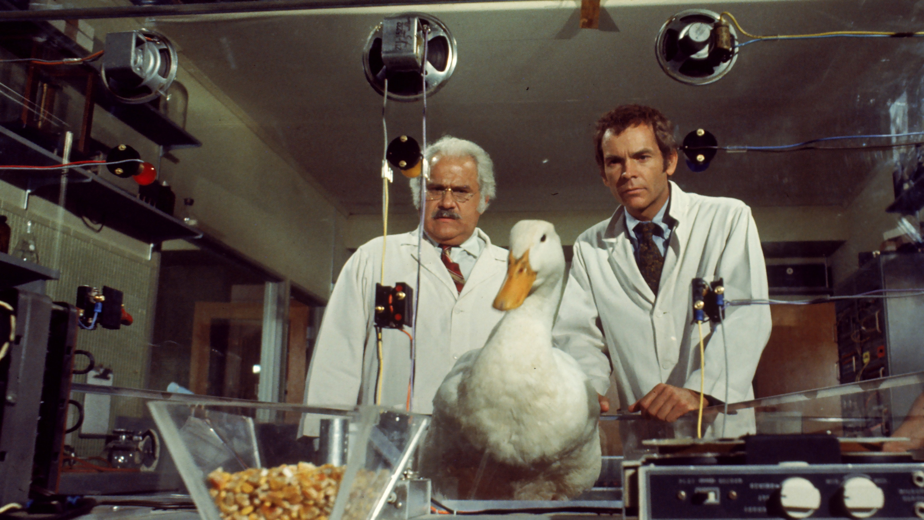 The Million Dollar Duck's poster