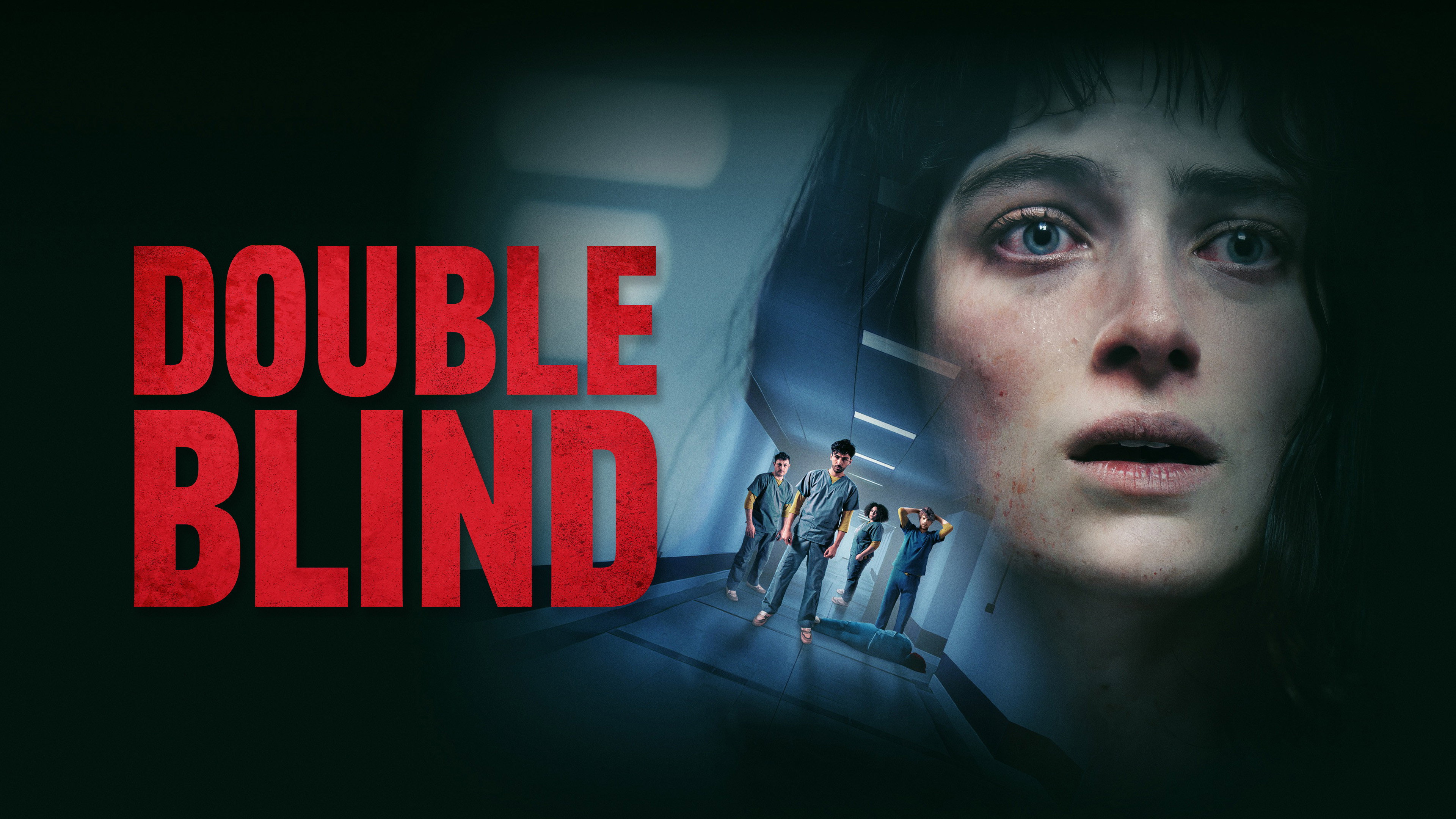 Double Blind's poster