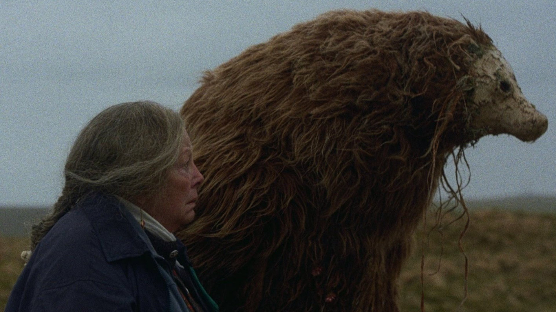 A Bear Remembers's poster