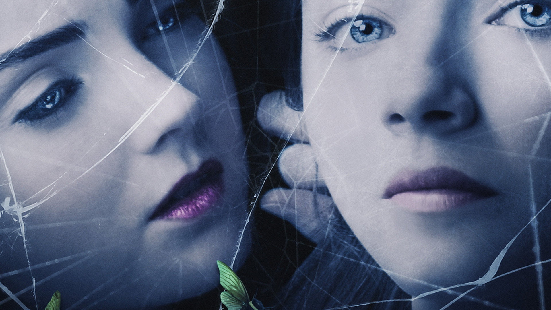 The Moth Diaries's poster