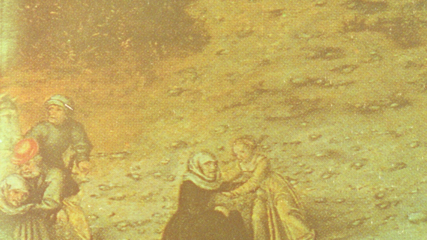 Search for Immortality's poster