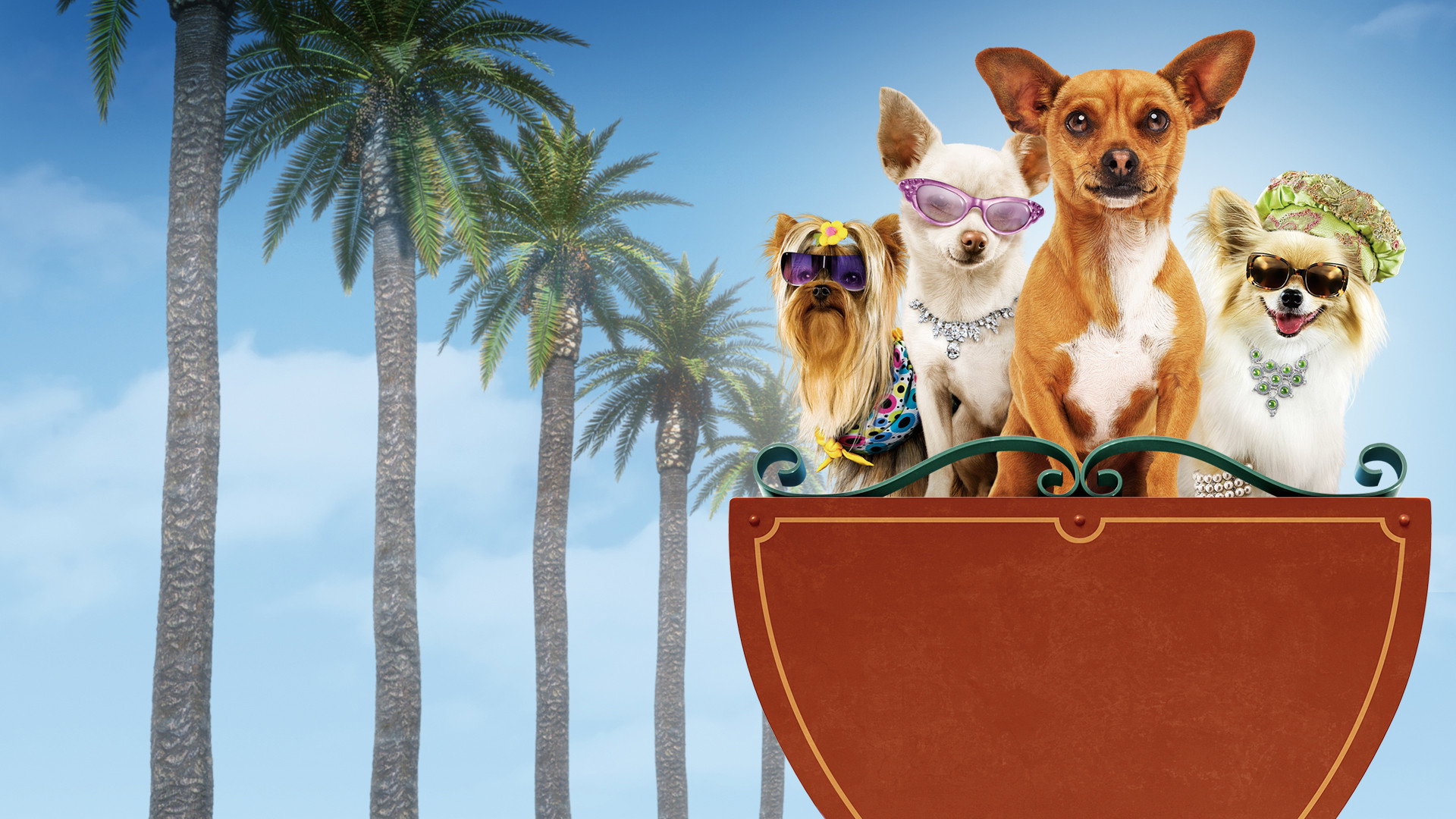 Beverly Hills Chihuahua's poster