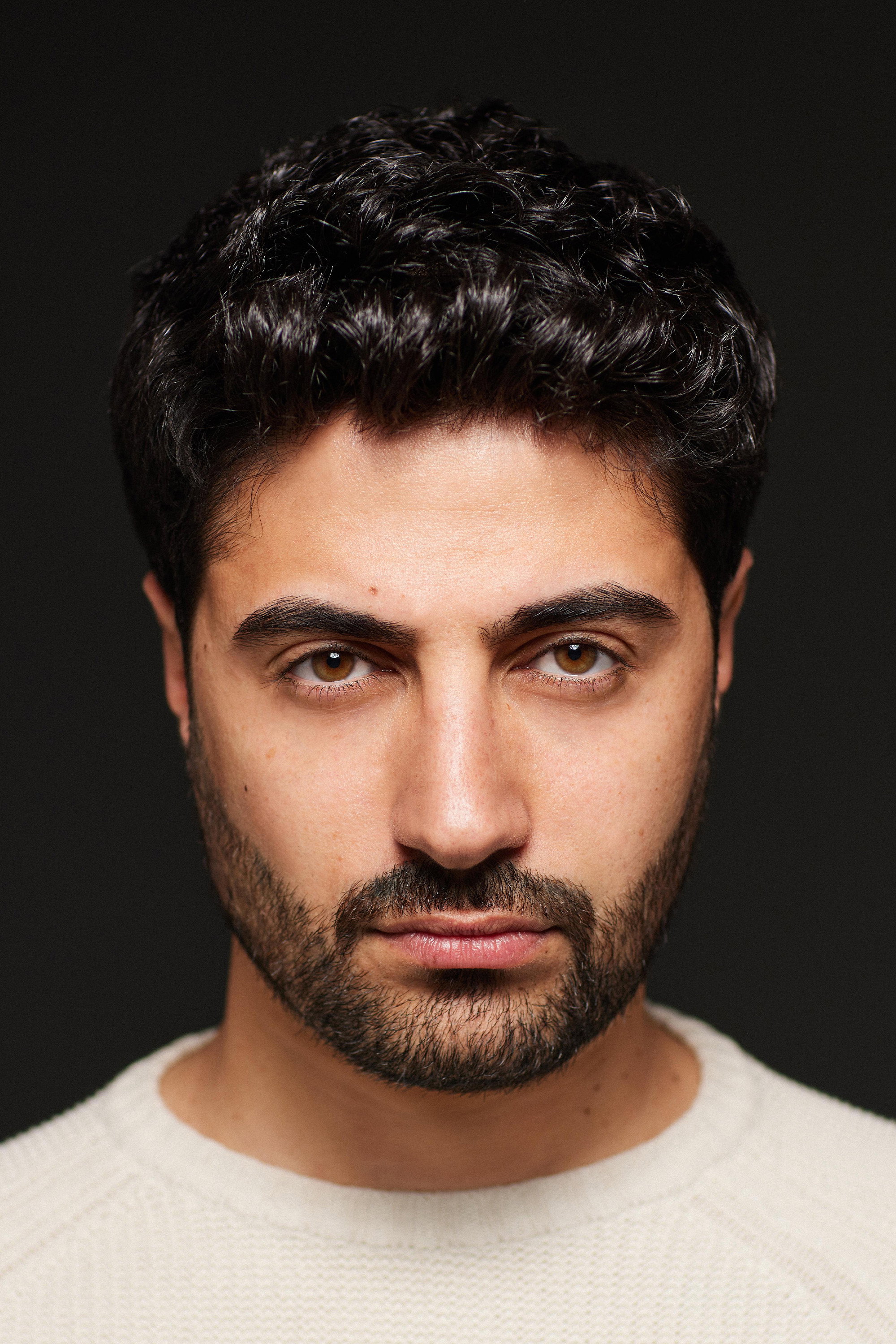 Peiman Azizpour's poster