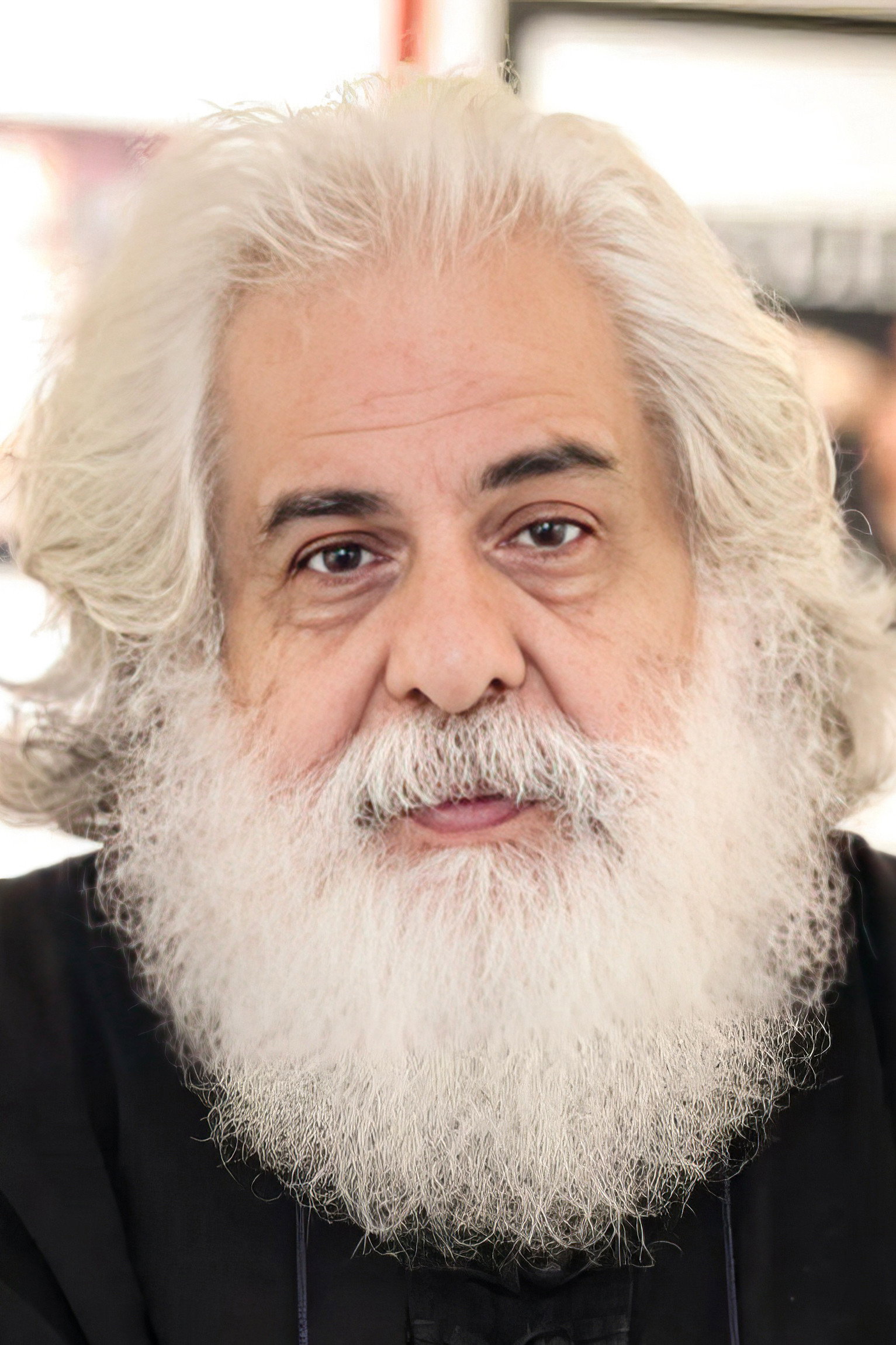 Mohammad Rahmanian's poster