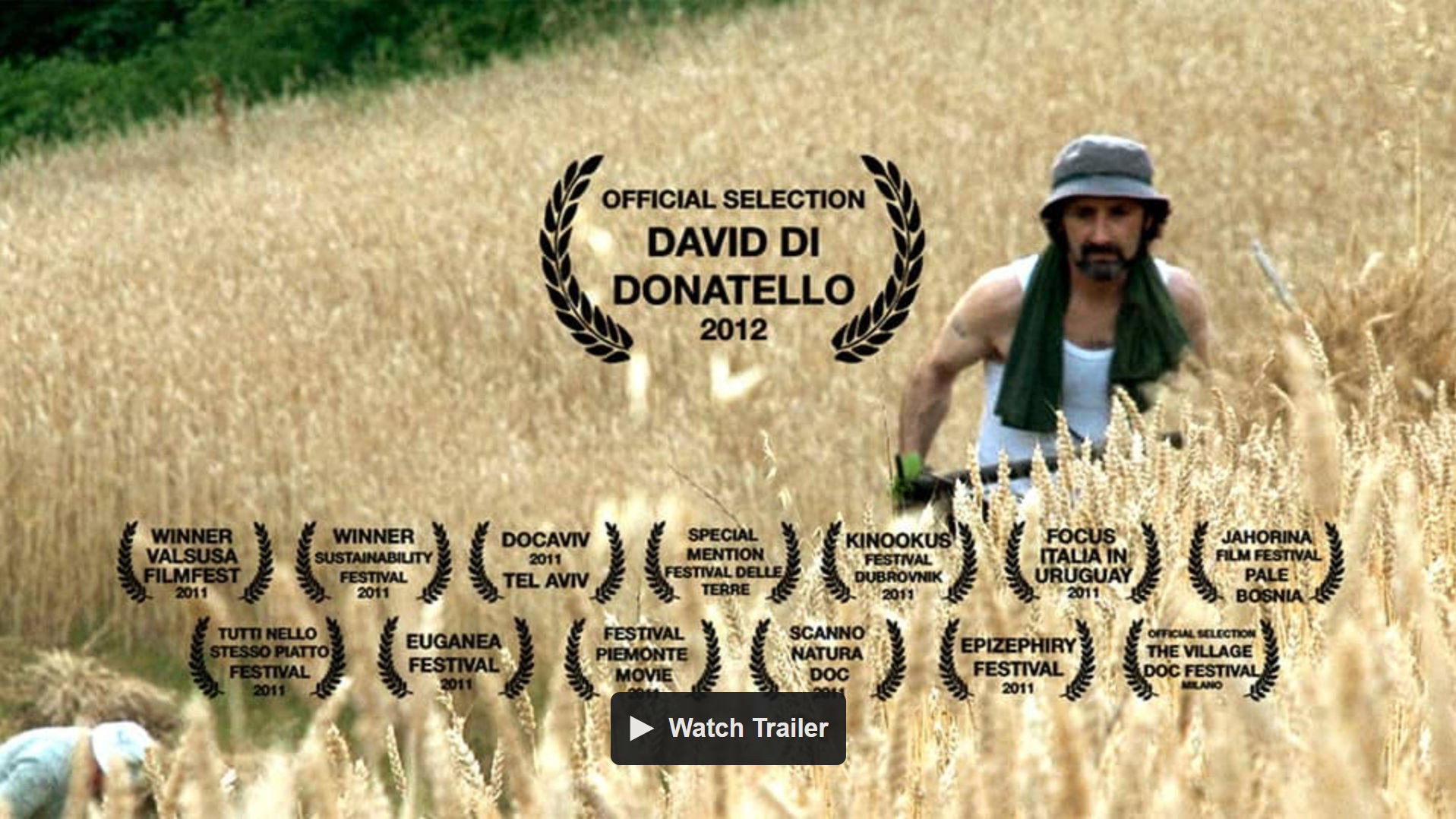 Langhe Doc's poster