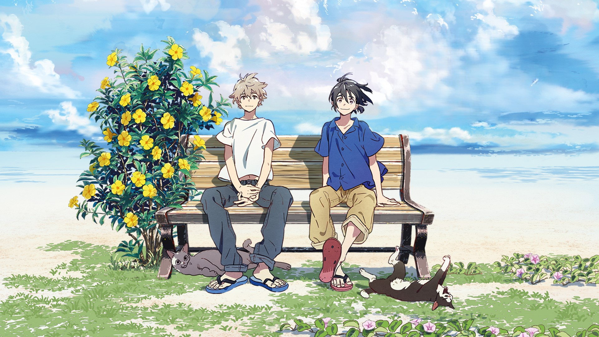 The Stranger by the Shore's poster