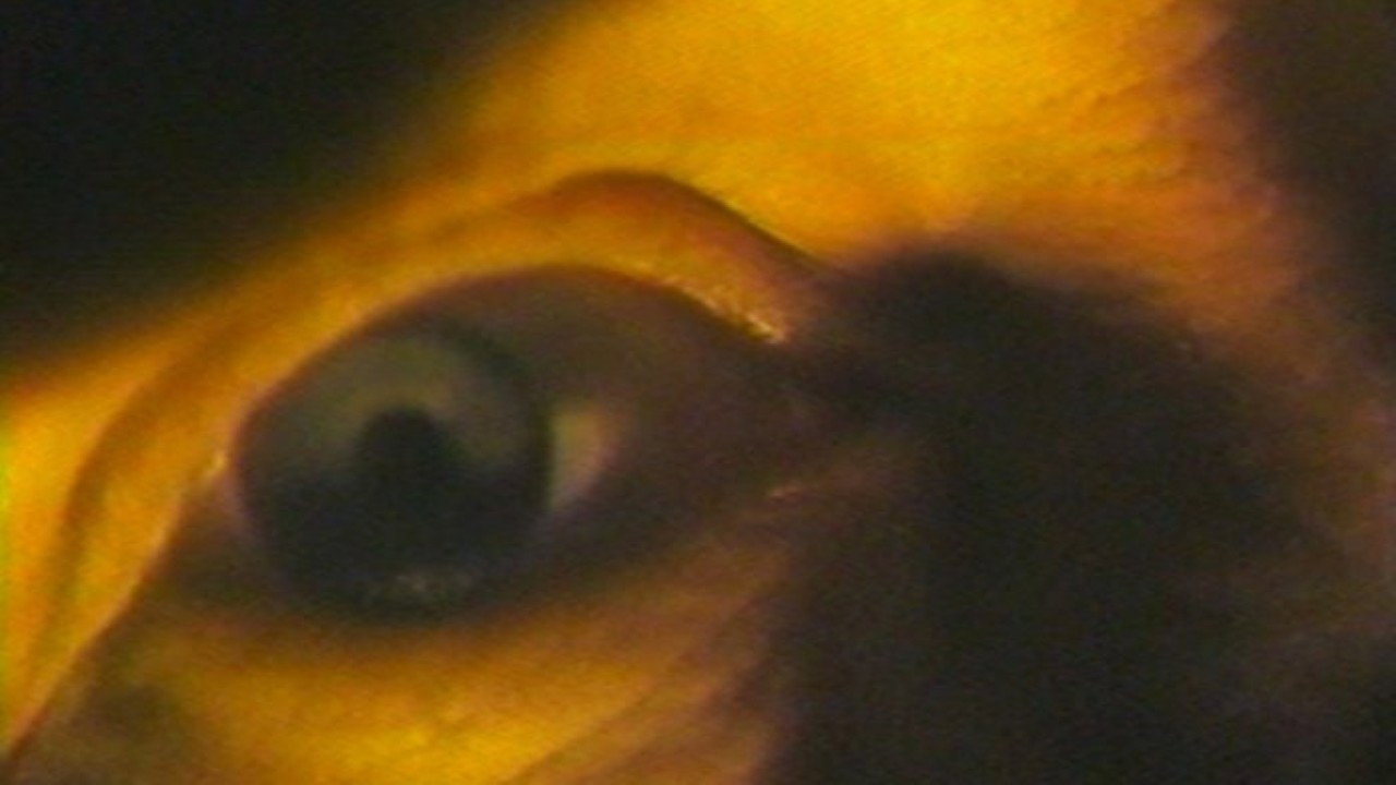 Highway Hypnosis's poster