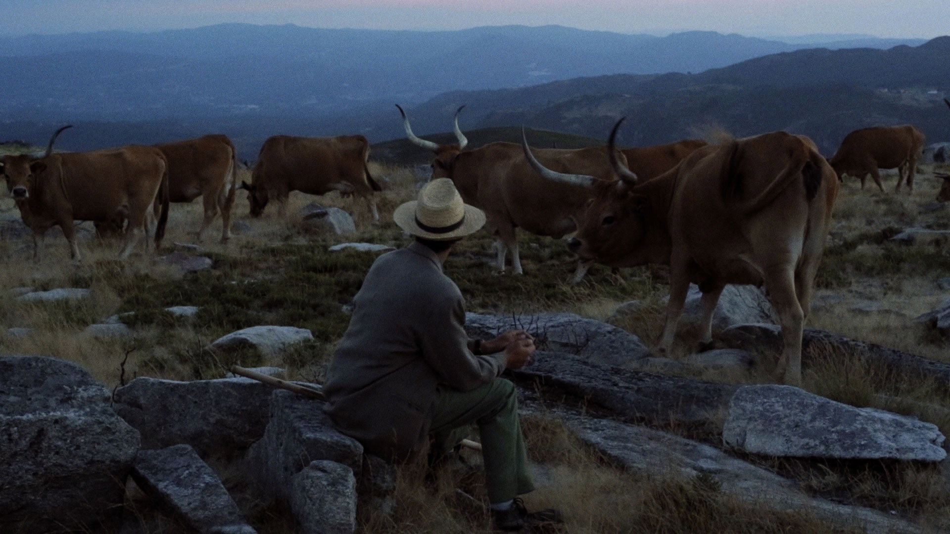 (Be)Longing's poster