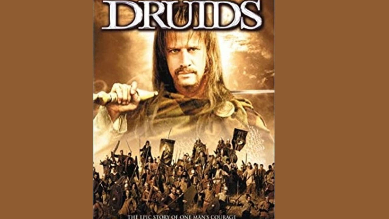 Druids's poster