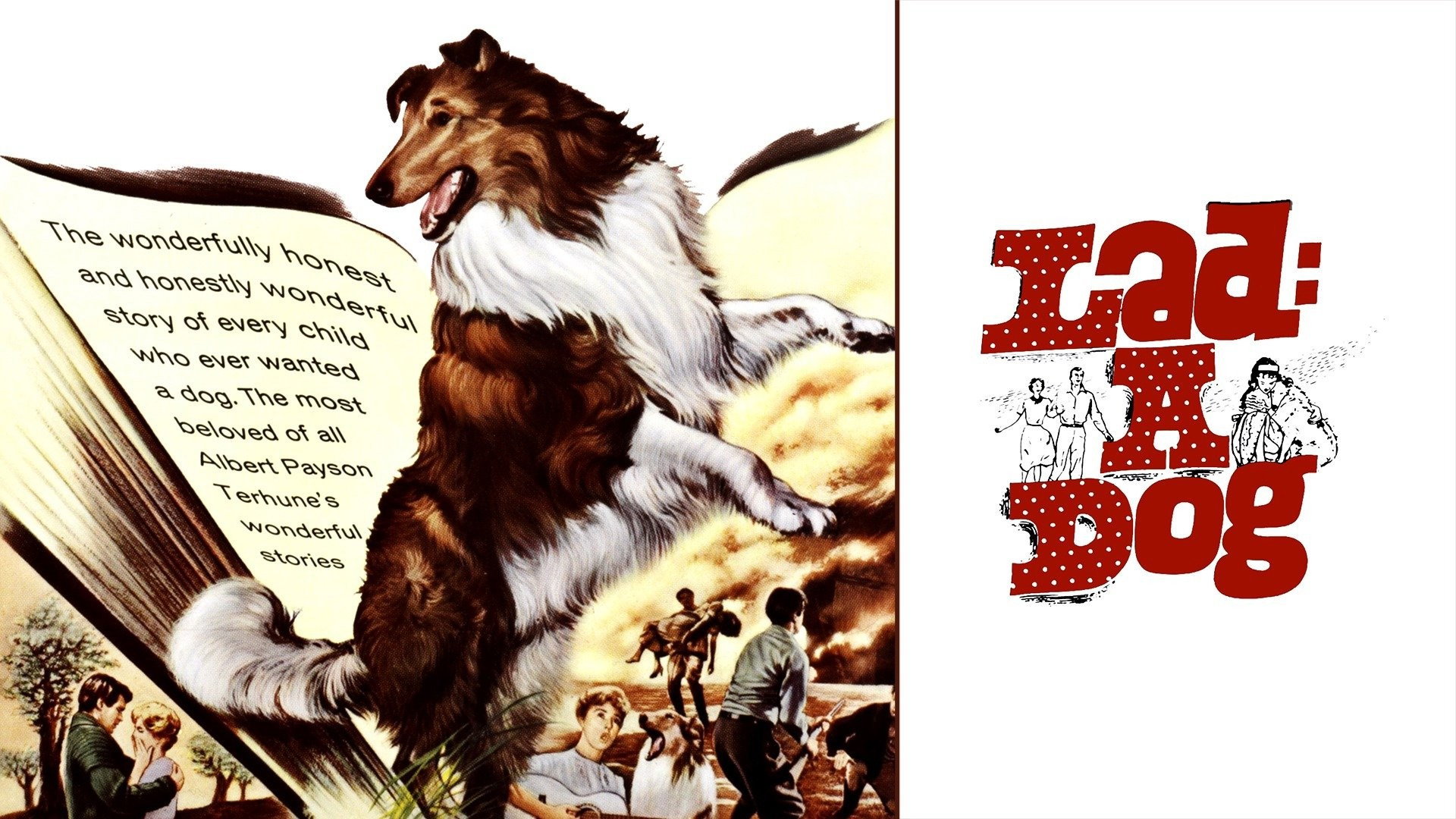 Lad: A Dog's poster