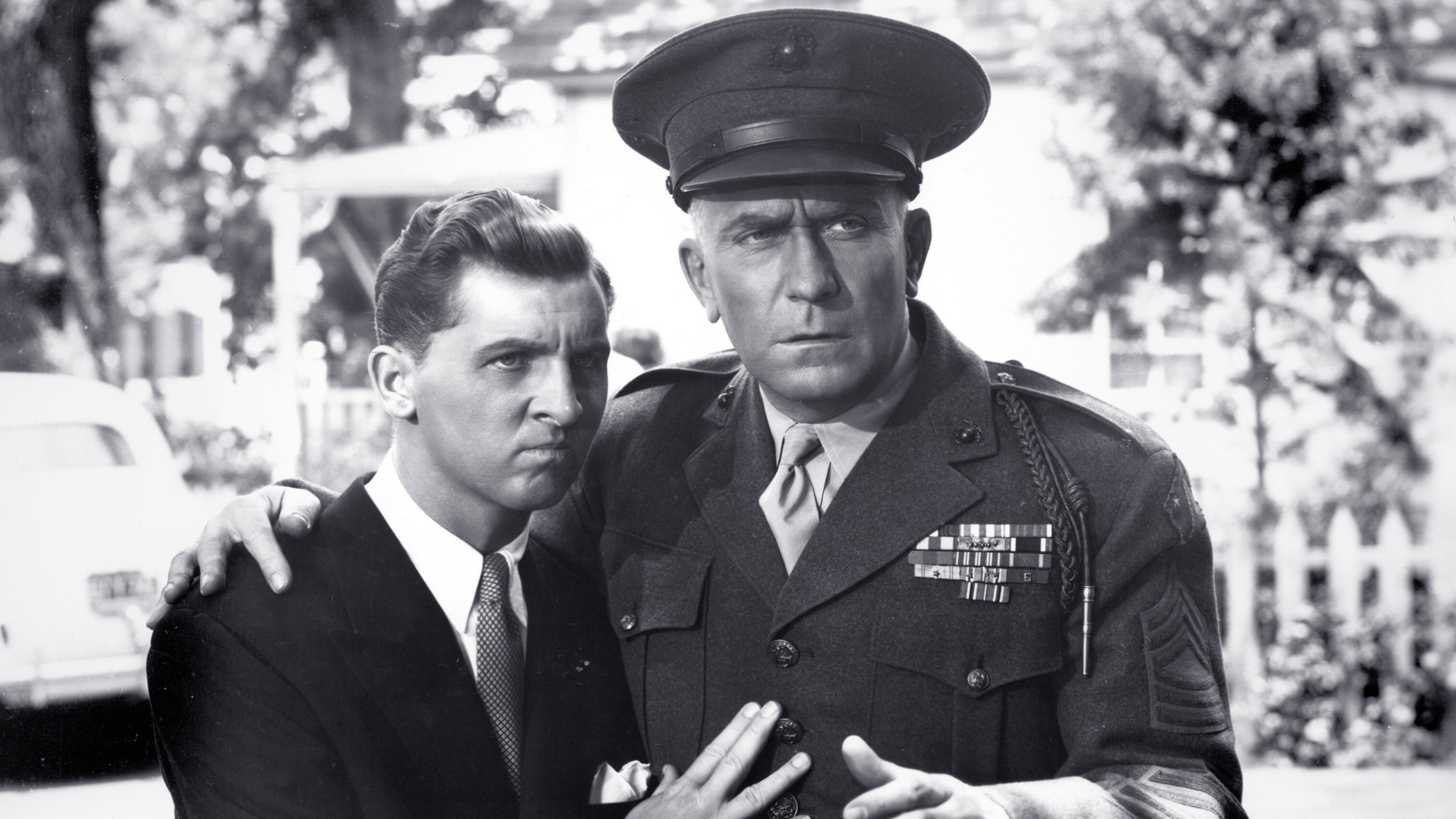Hail the Conquering Hero's poster