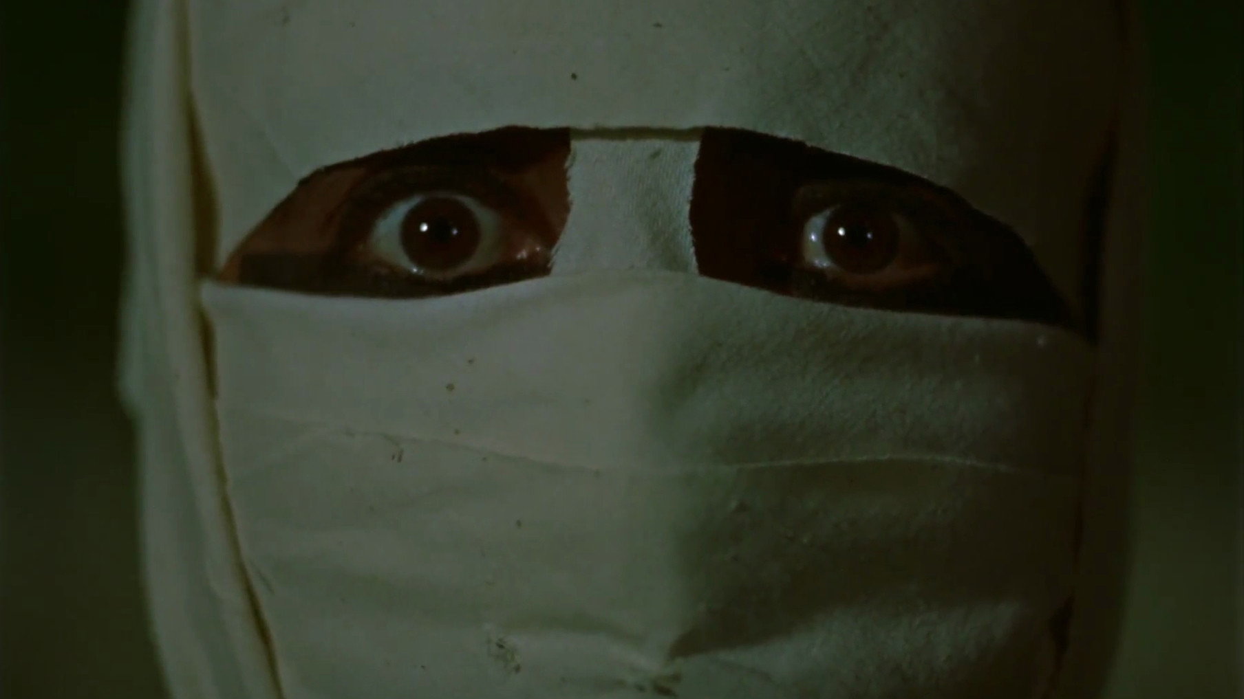 The Mummy's poster