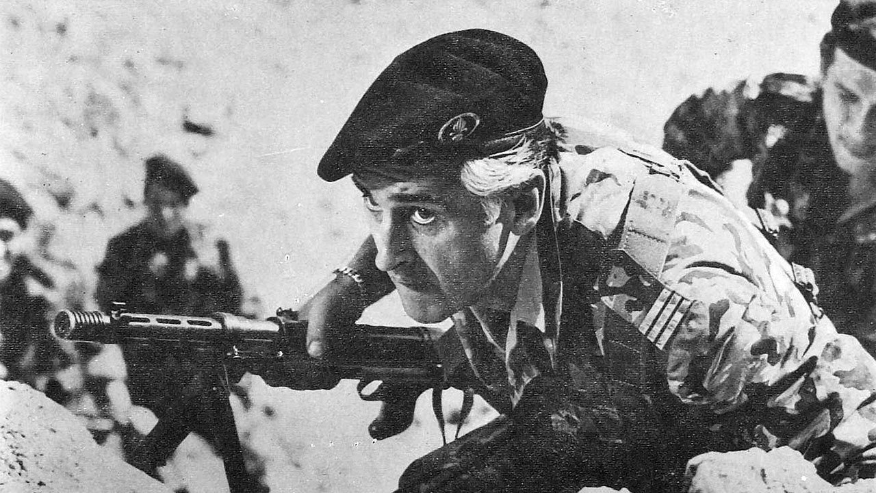 Commando's poster