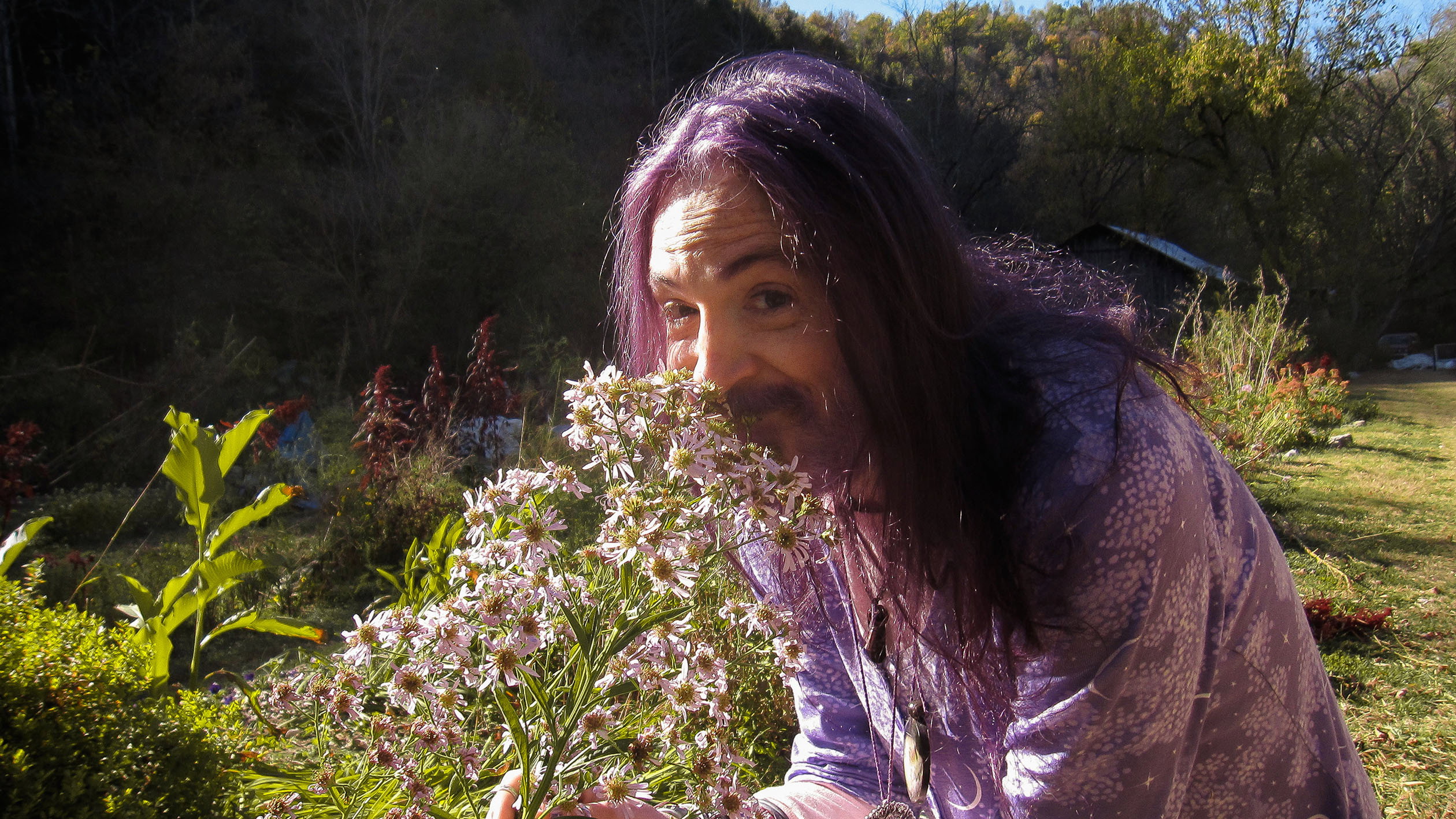 Queer Gardening's poster