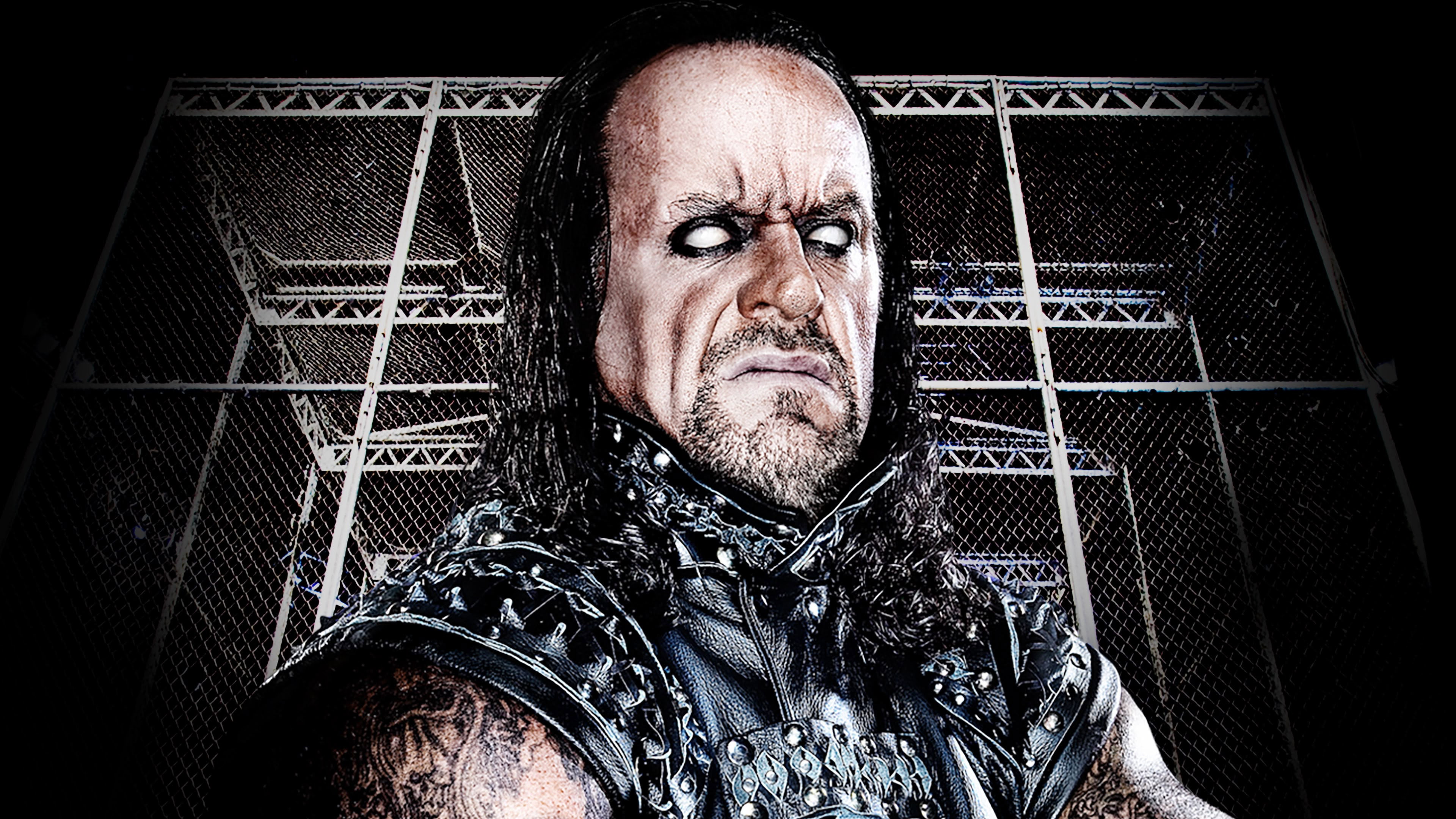 WWE Hell In A Cell 2010's poster