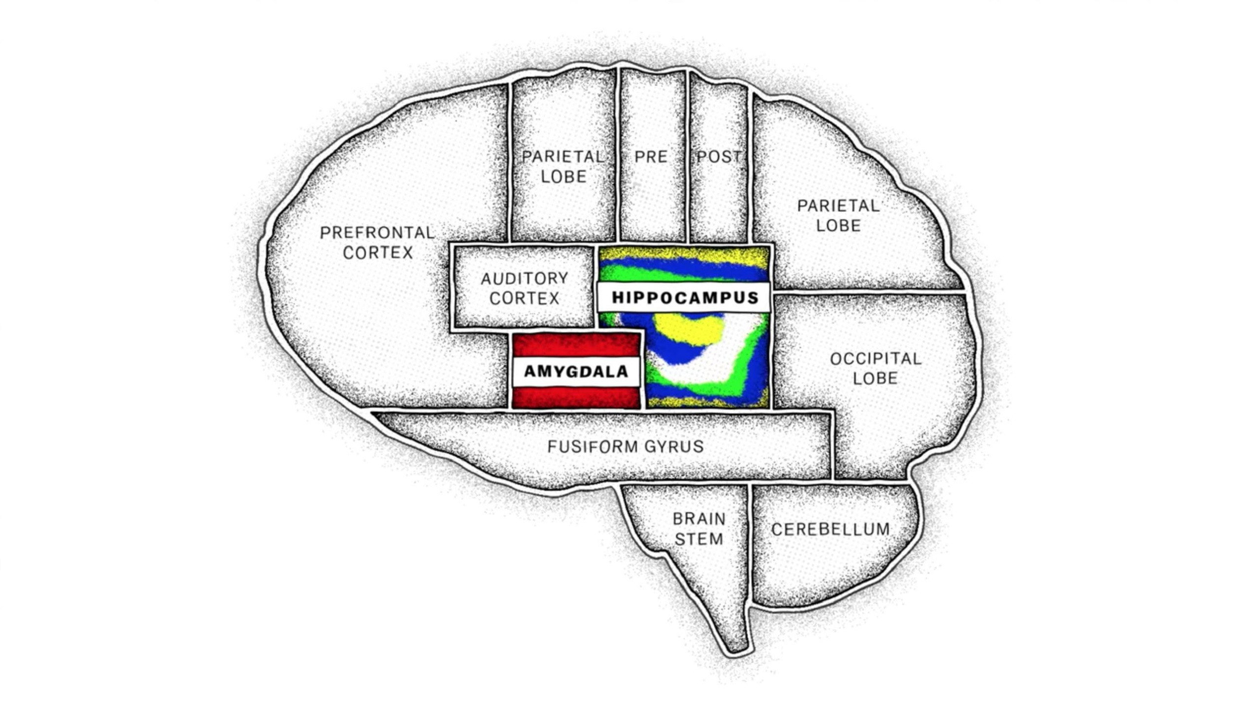 The Mind, Explained's poster
