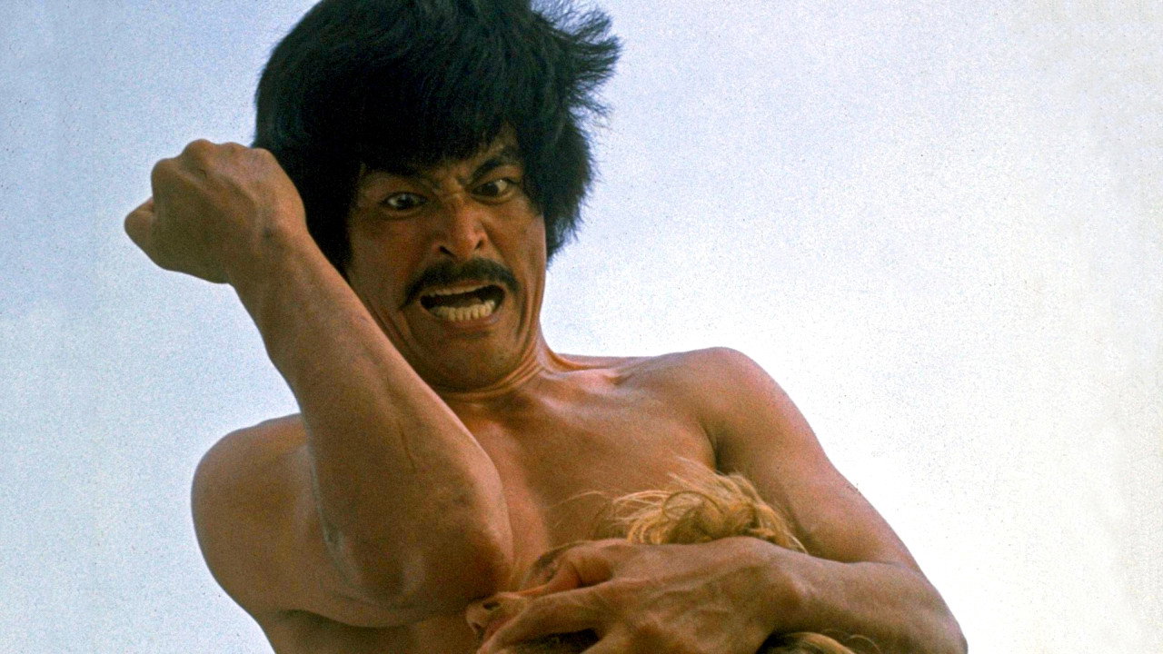 The Karate's poster