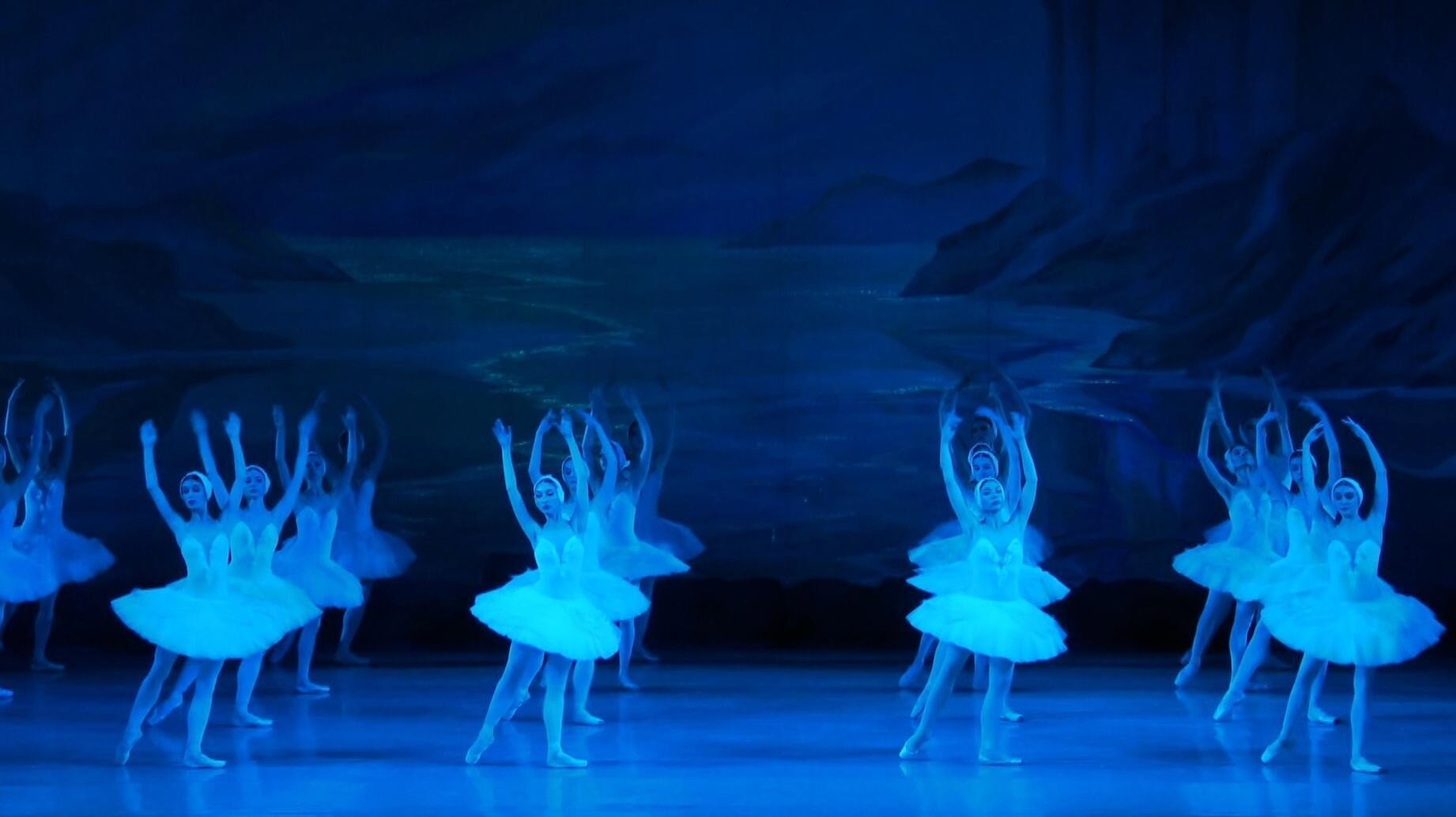 Swan Lake's poster