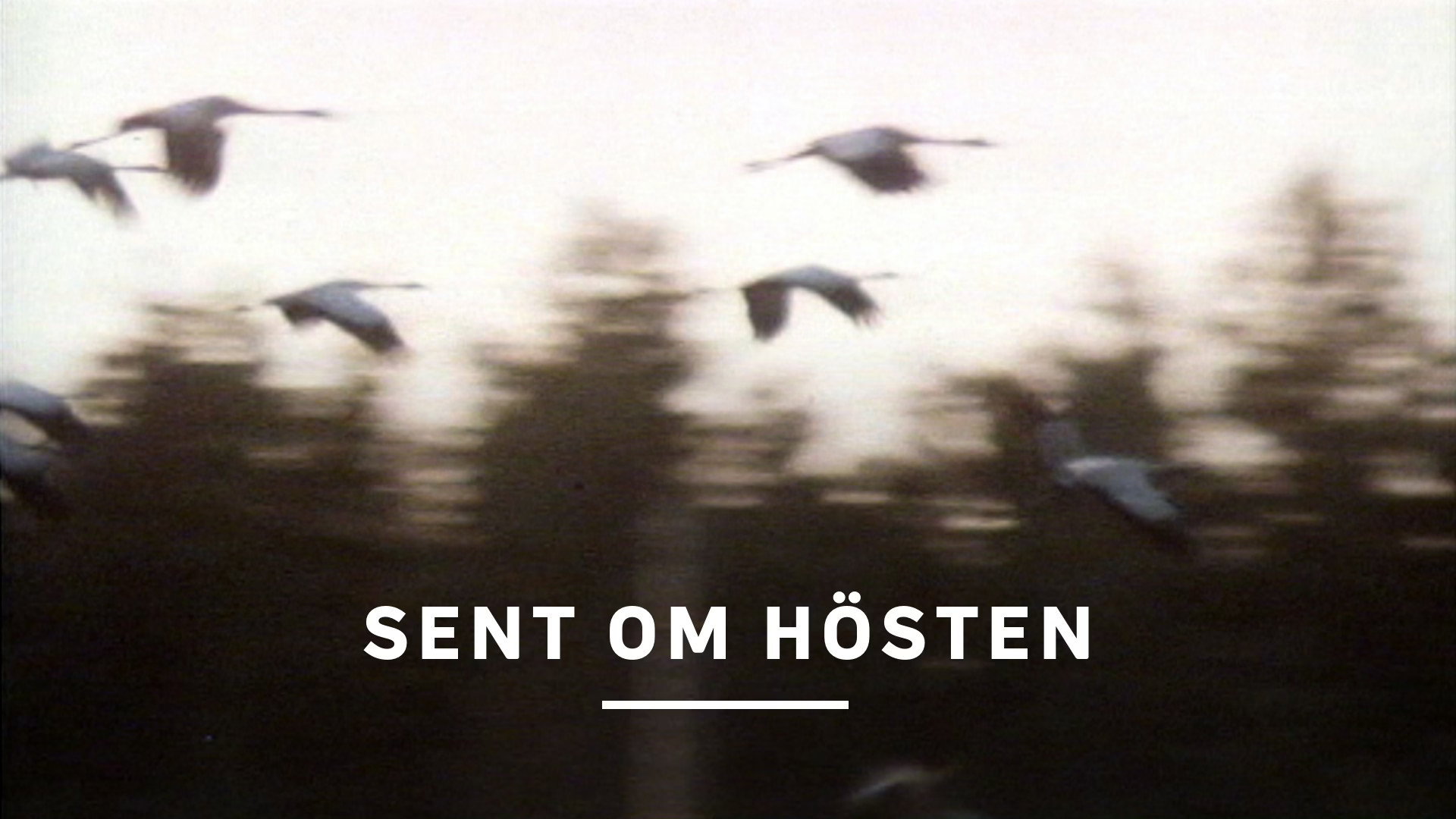 Sent om hösten's poster