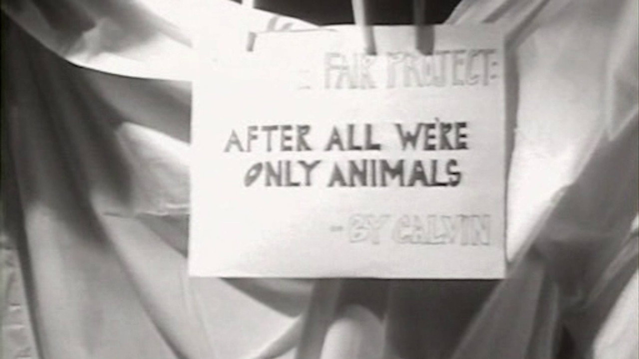 After All's poster