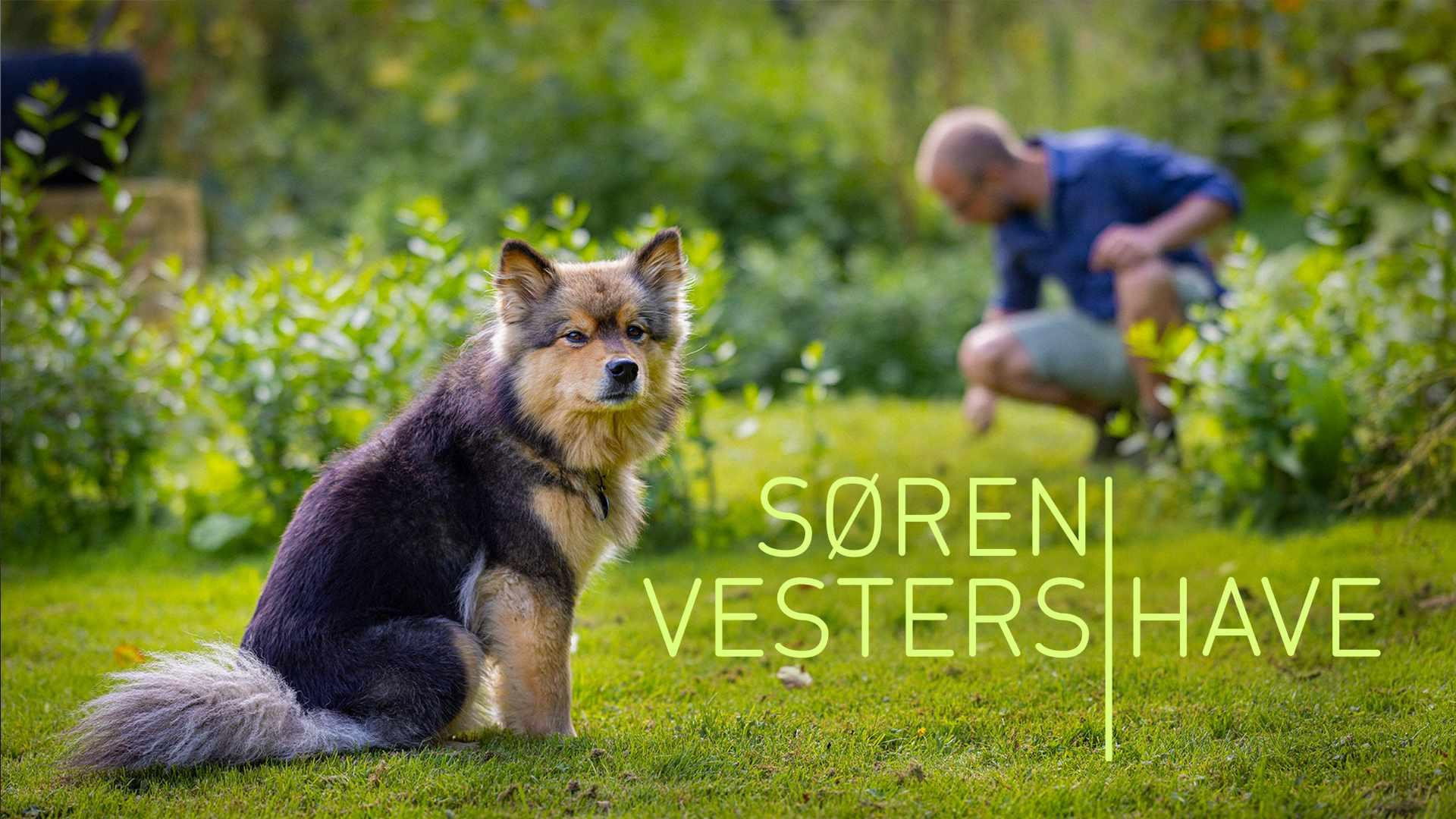 Søren Vesters have's poster