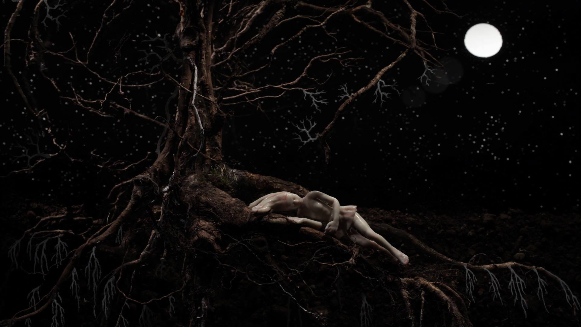 Roots's poster