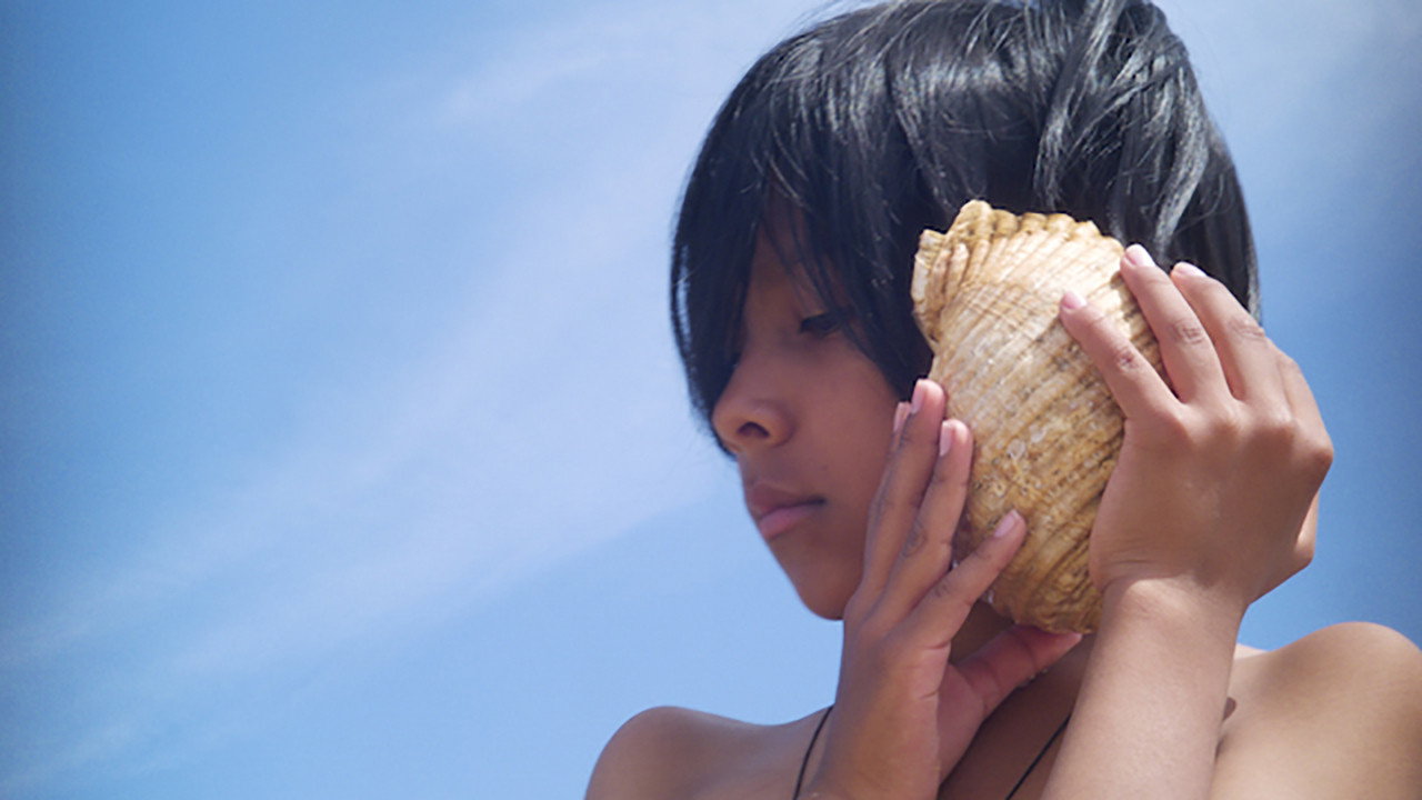 Time and the Seashell's poster