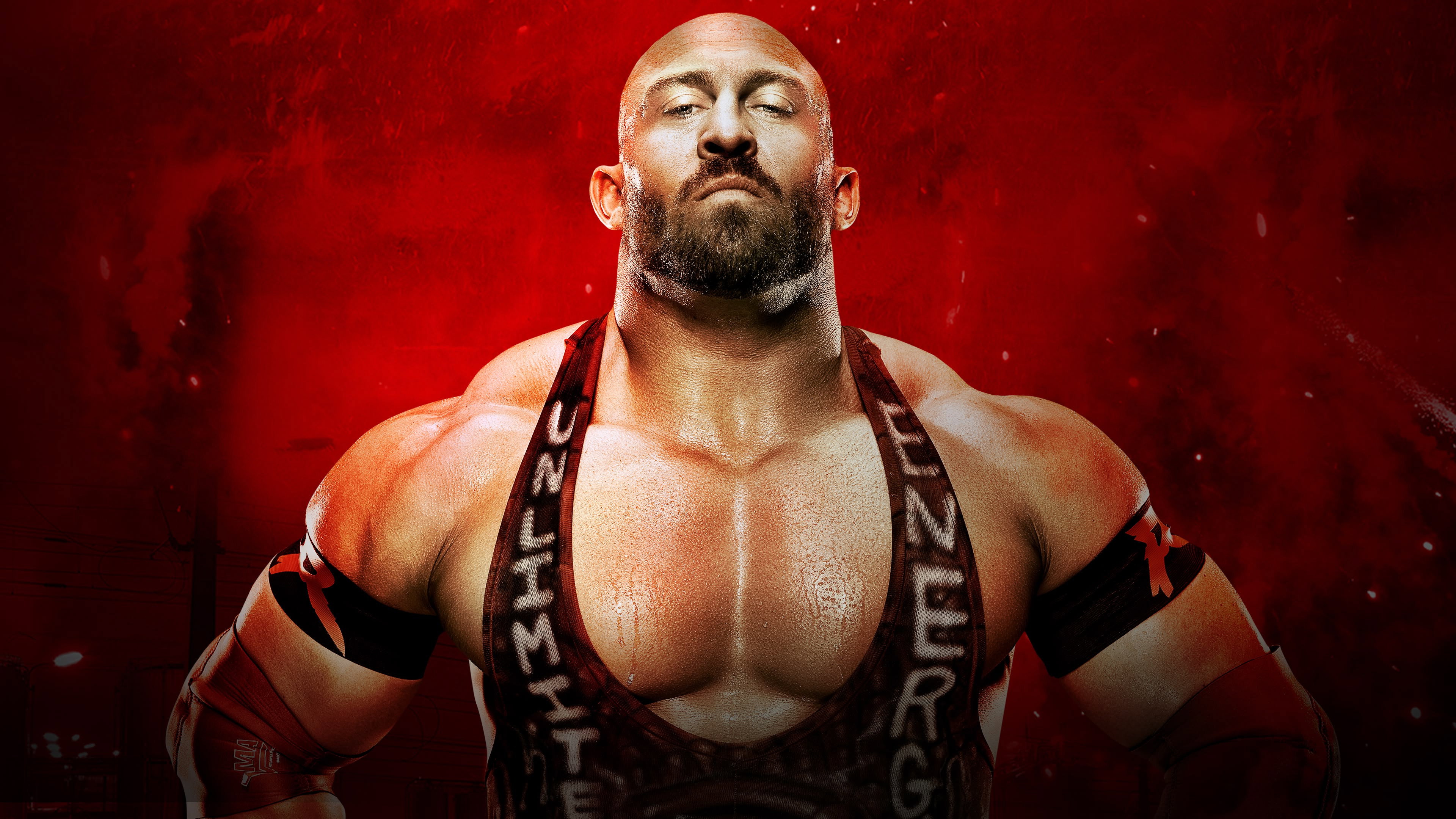 WWE Battleground 2013's poster