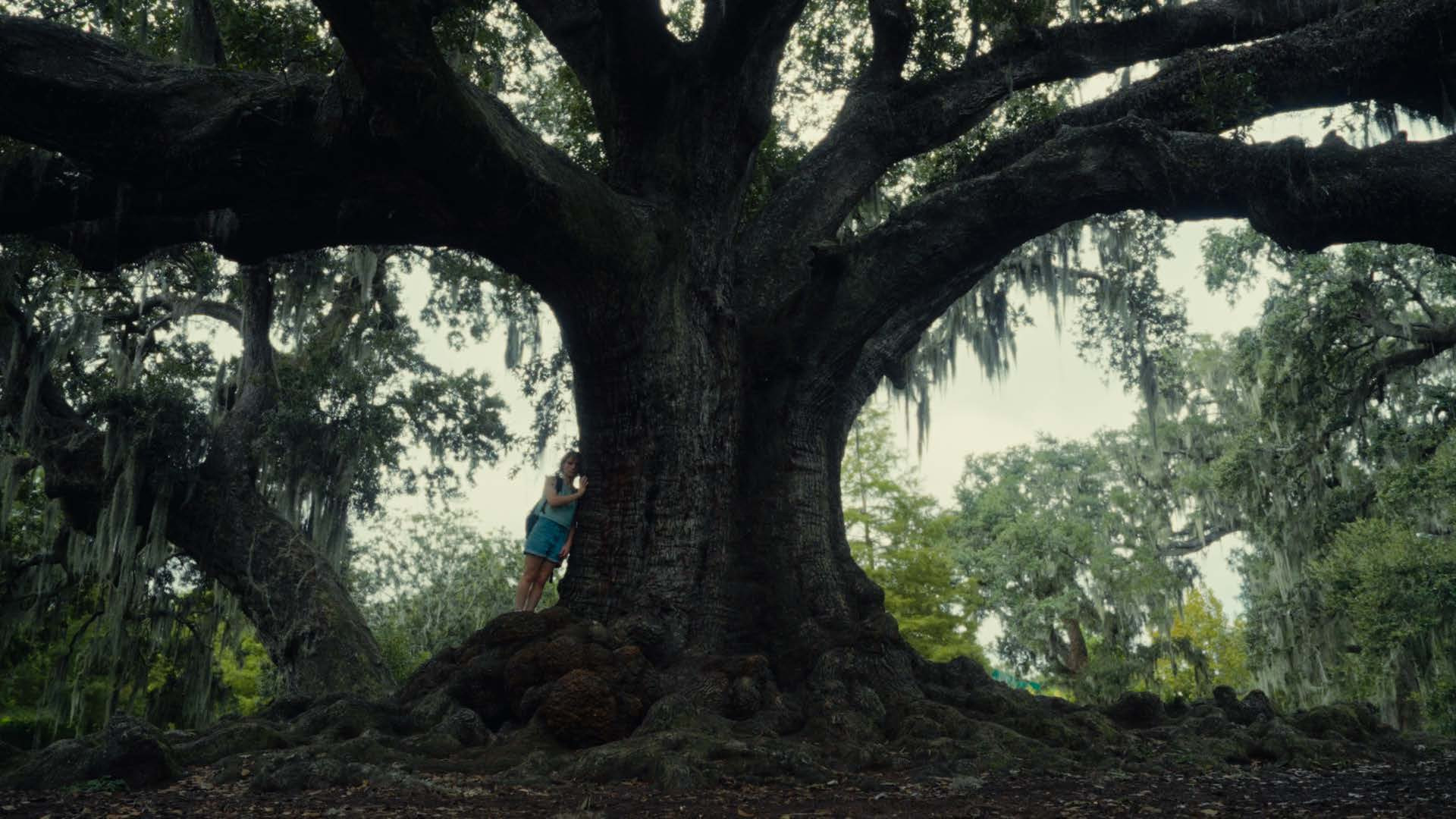Everywhere I Look's poster