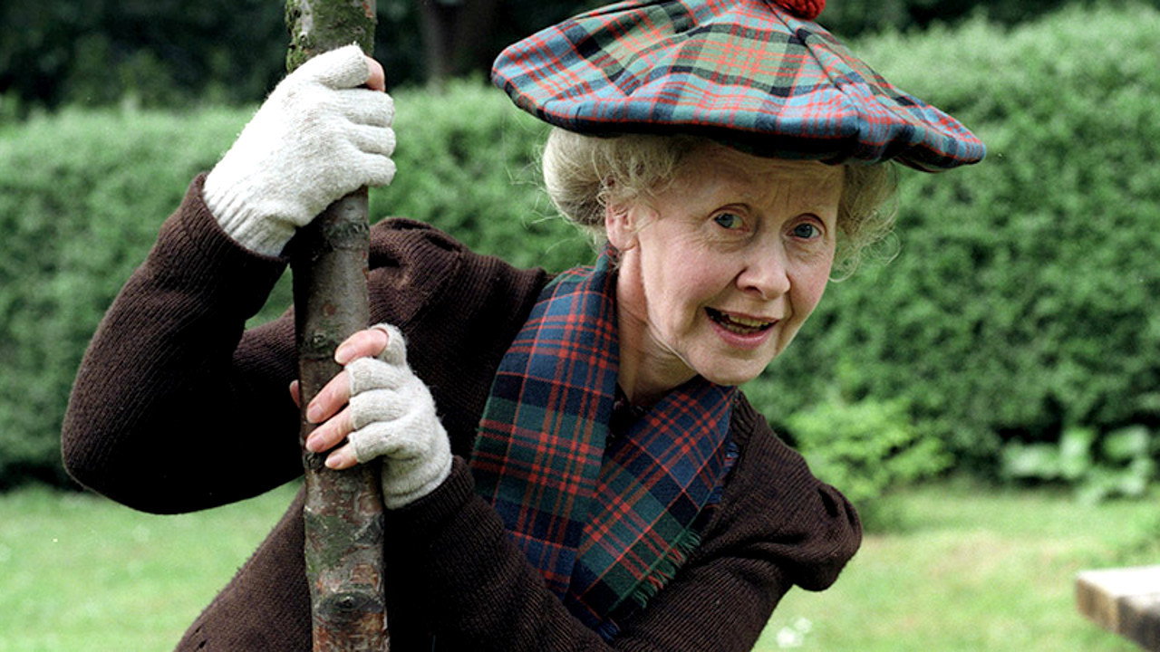 Super Gran's poster