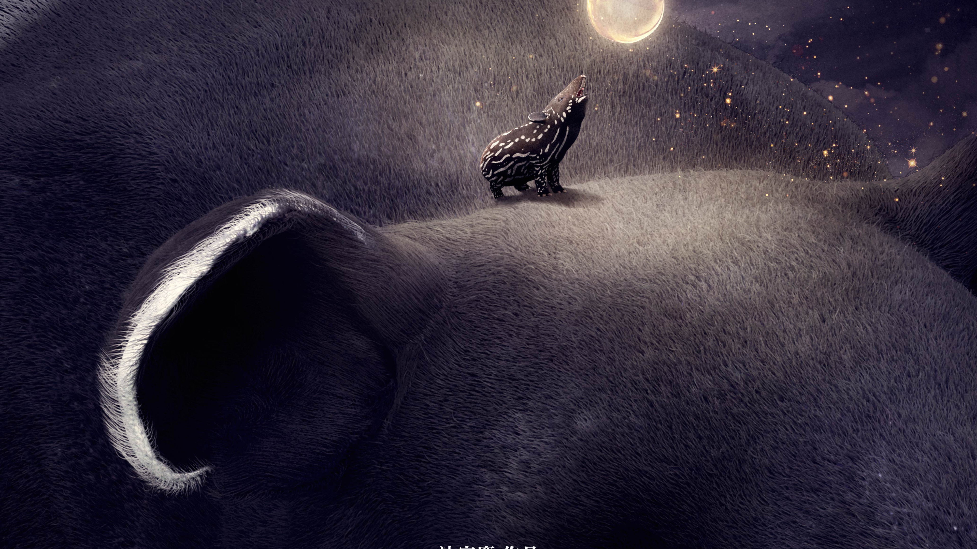 Hello! Tapir's poster