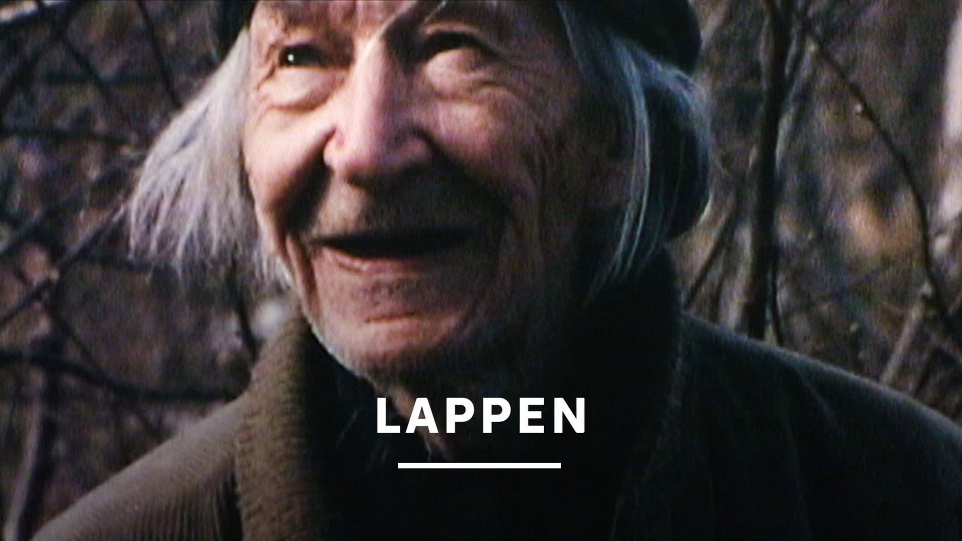 Laplander's poster