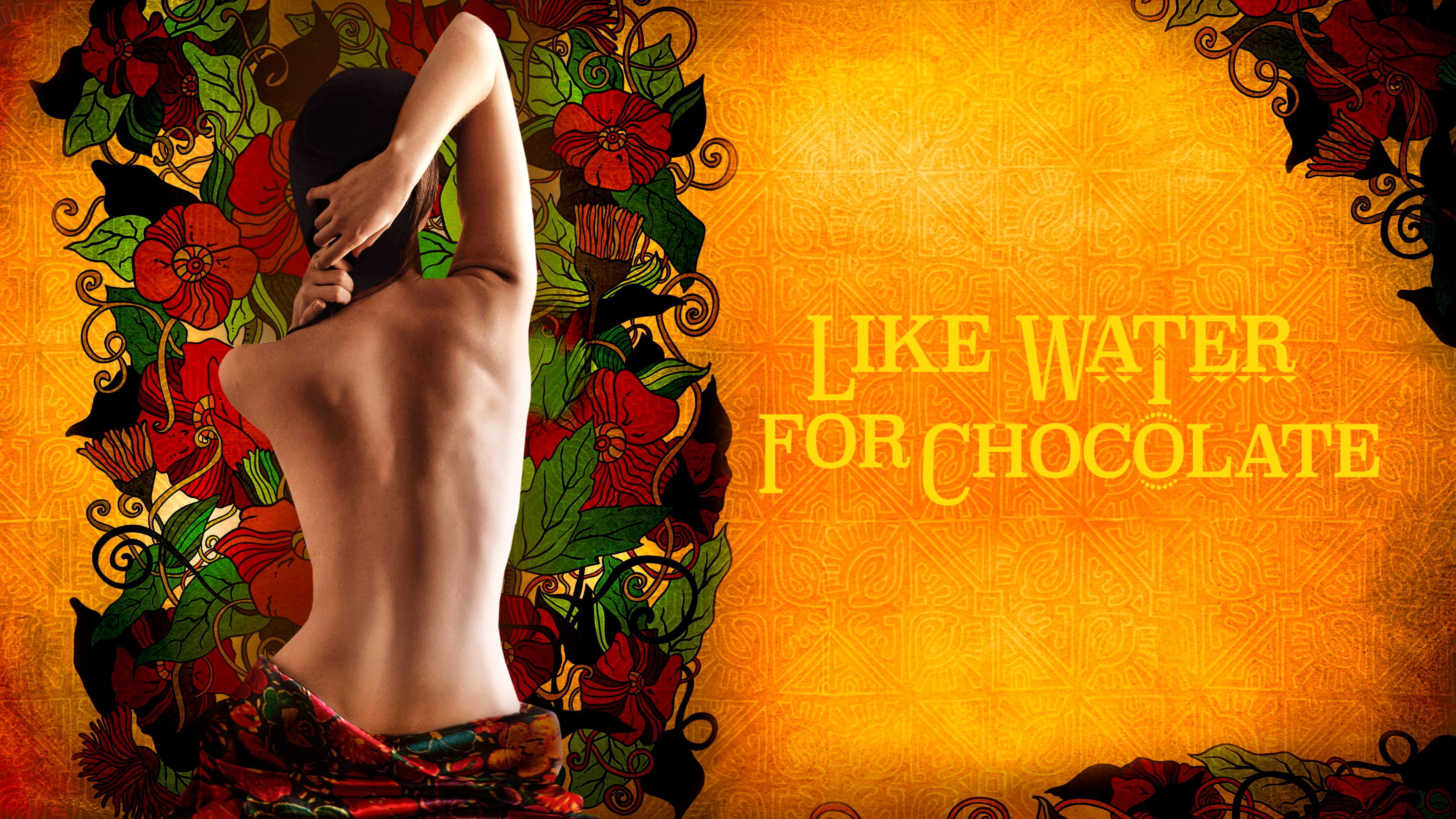 Like Water for Chocolate's poster