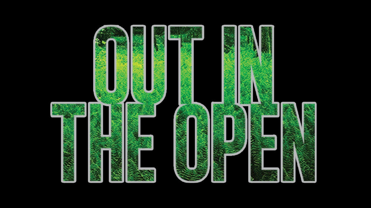 Out in the Open's poster
