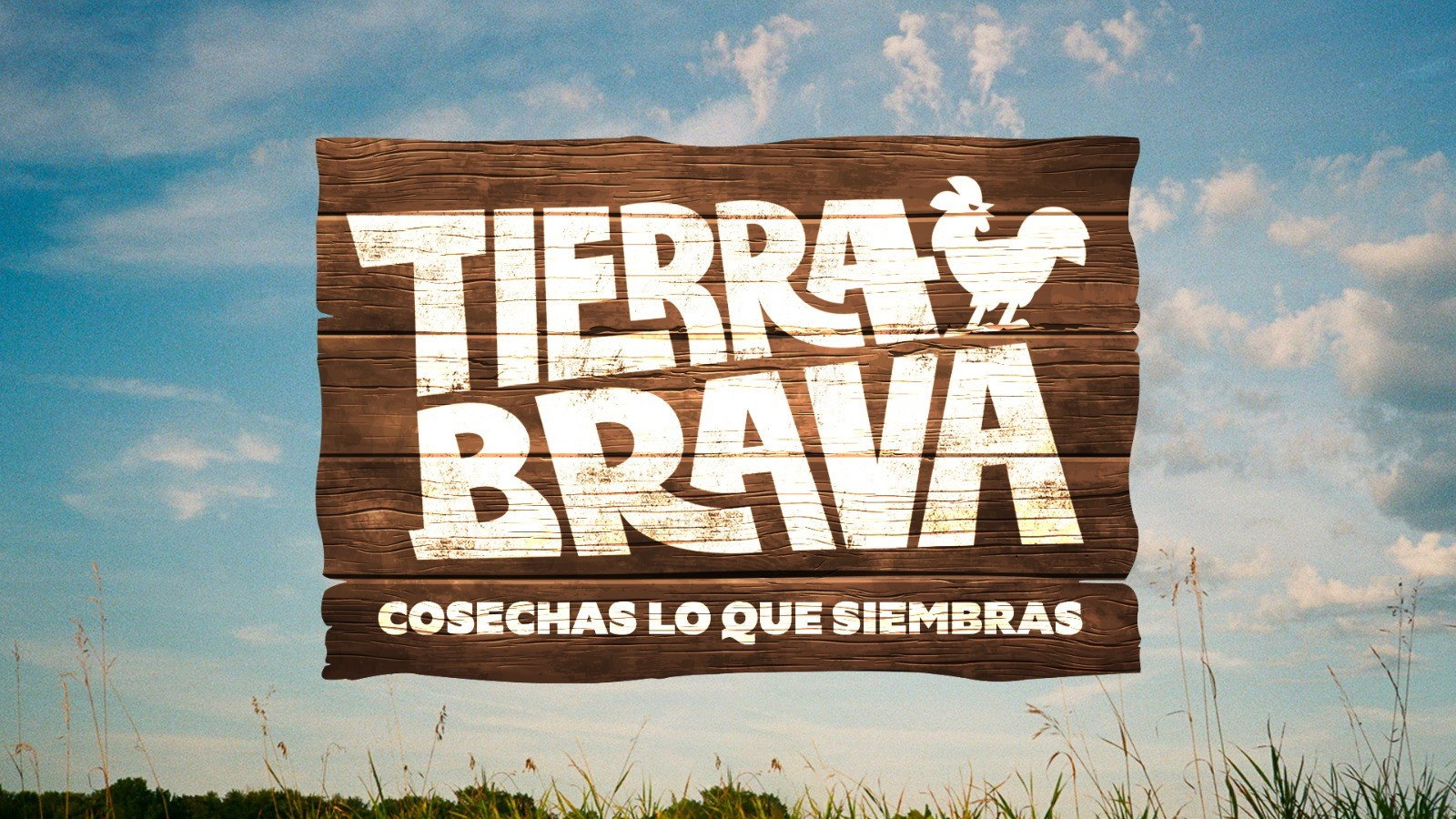 Tierra Brava's poster