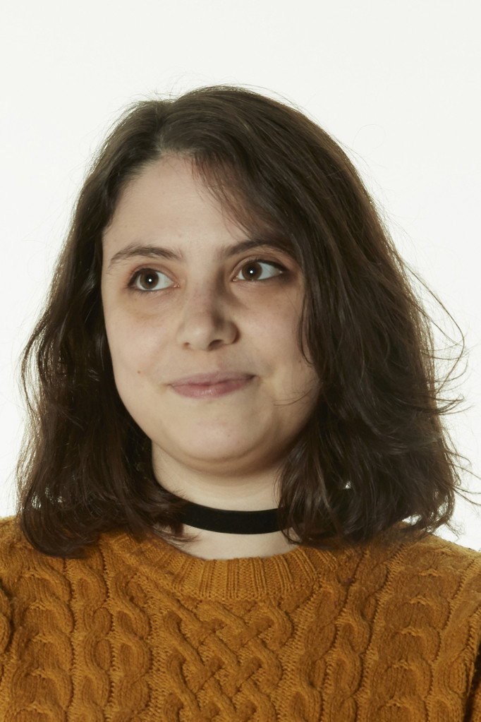 Camille Guillot's poster