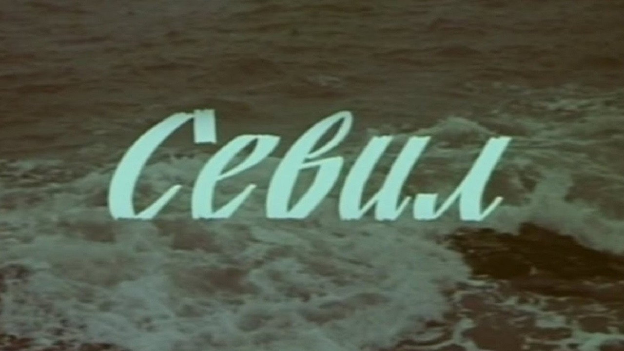 Sevil's poster