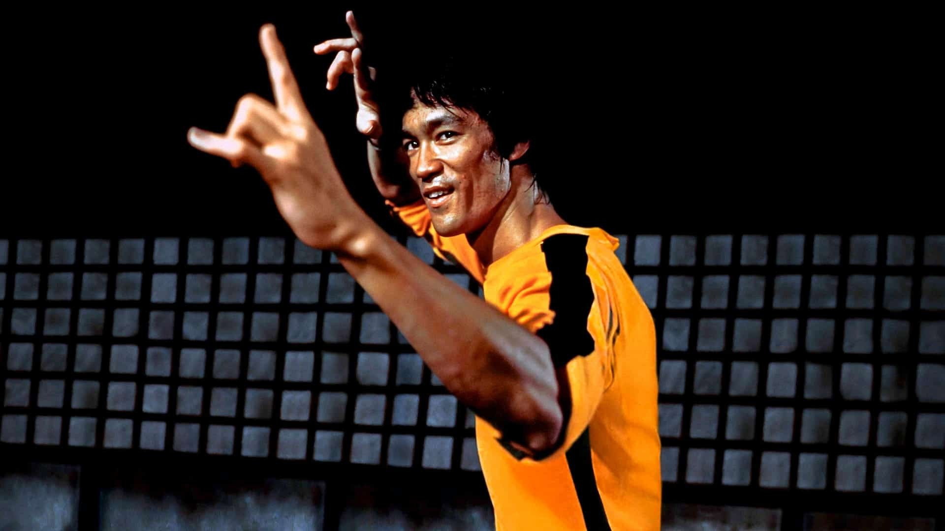 Iron Fists and Kung Fu Kicks's poster