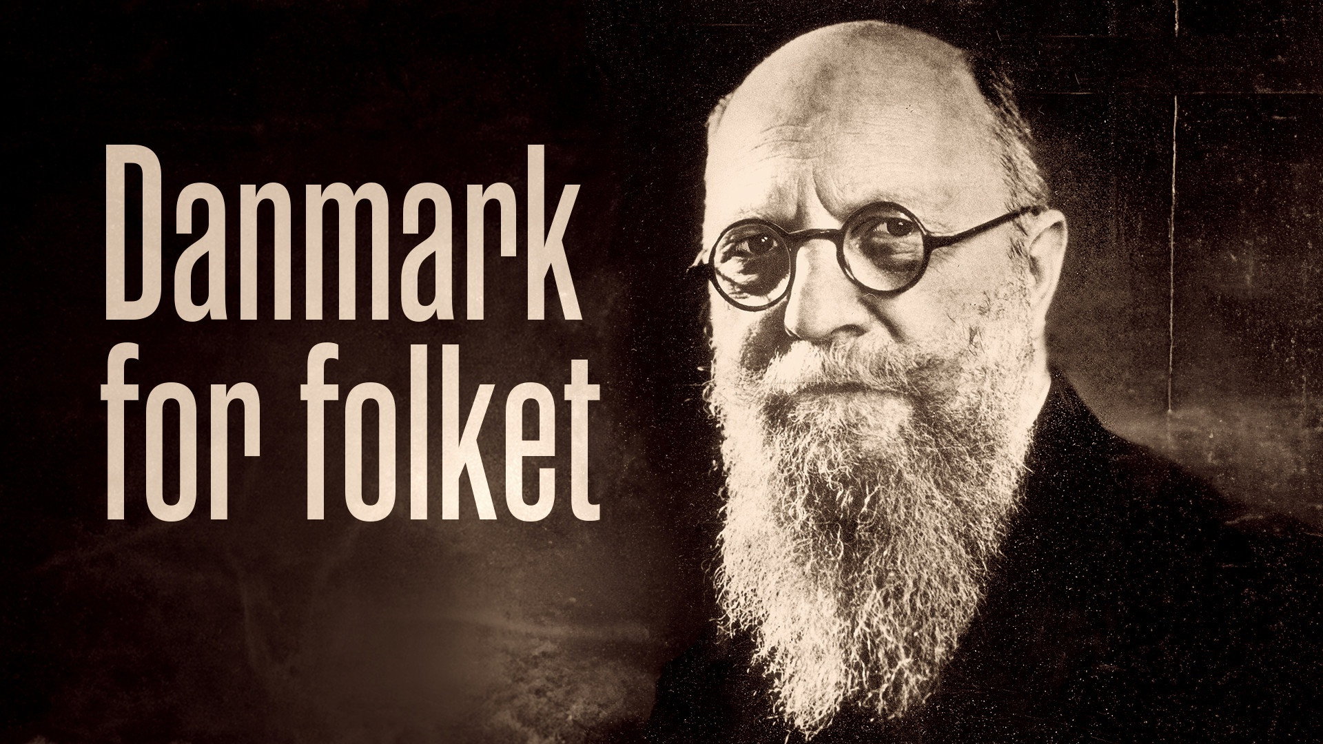 Danmark for Folket's poster