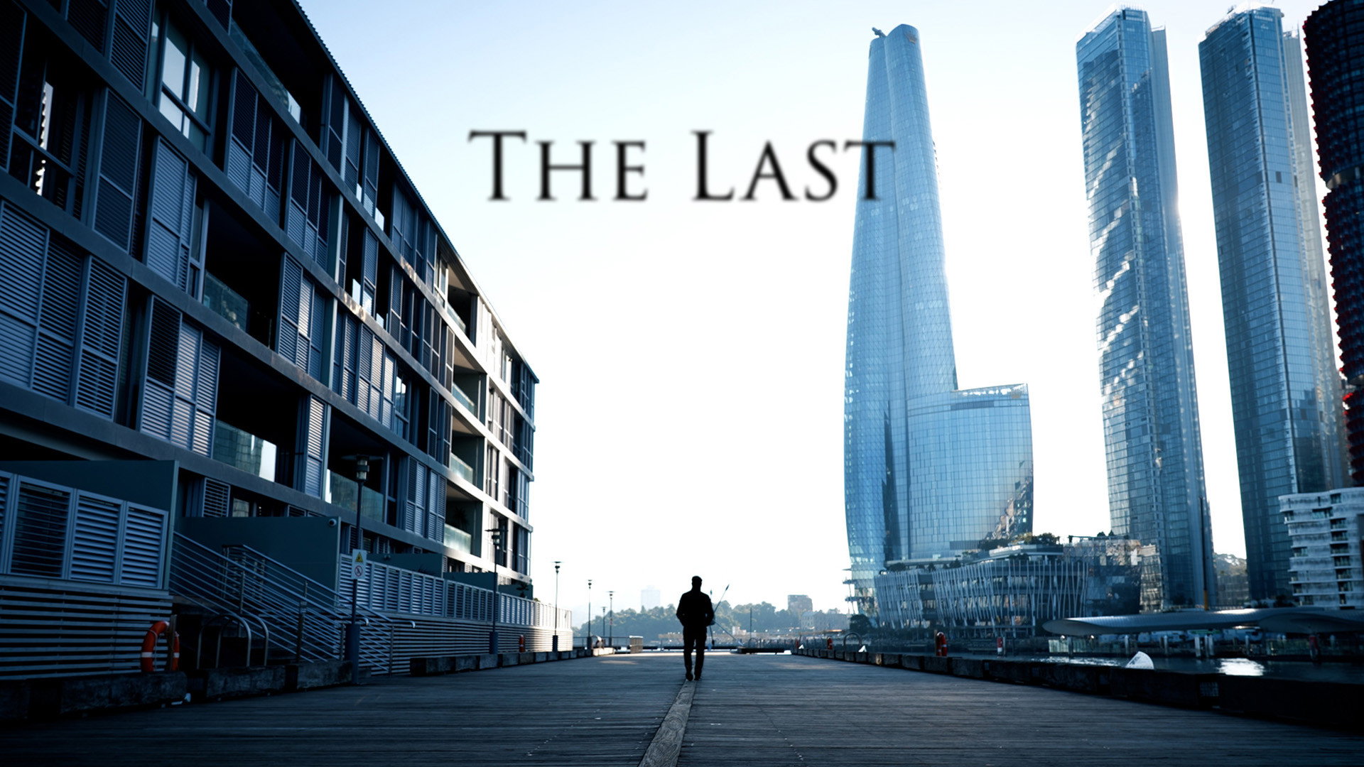 The Last's poster