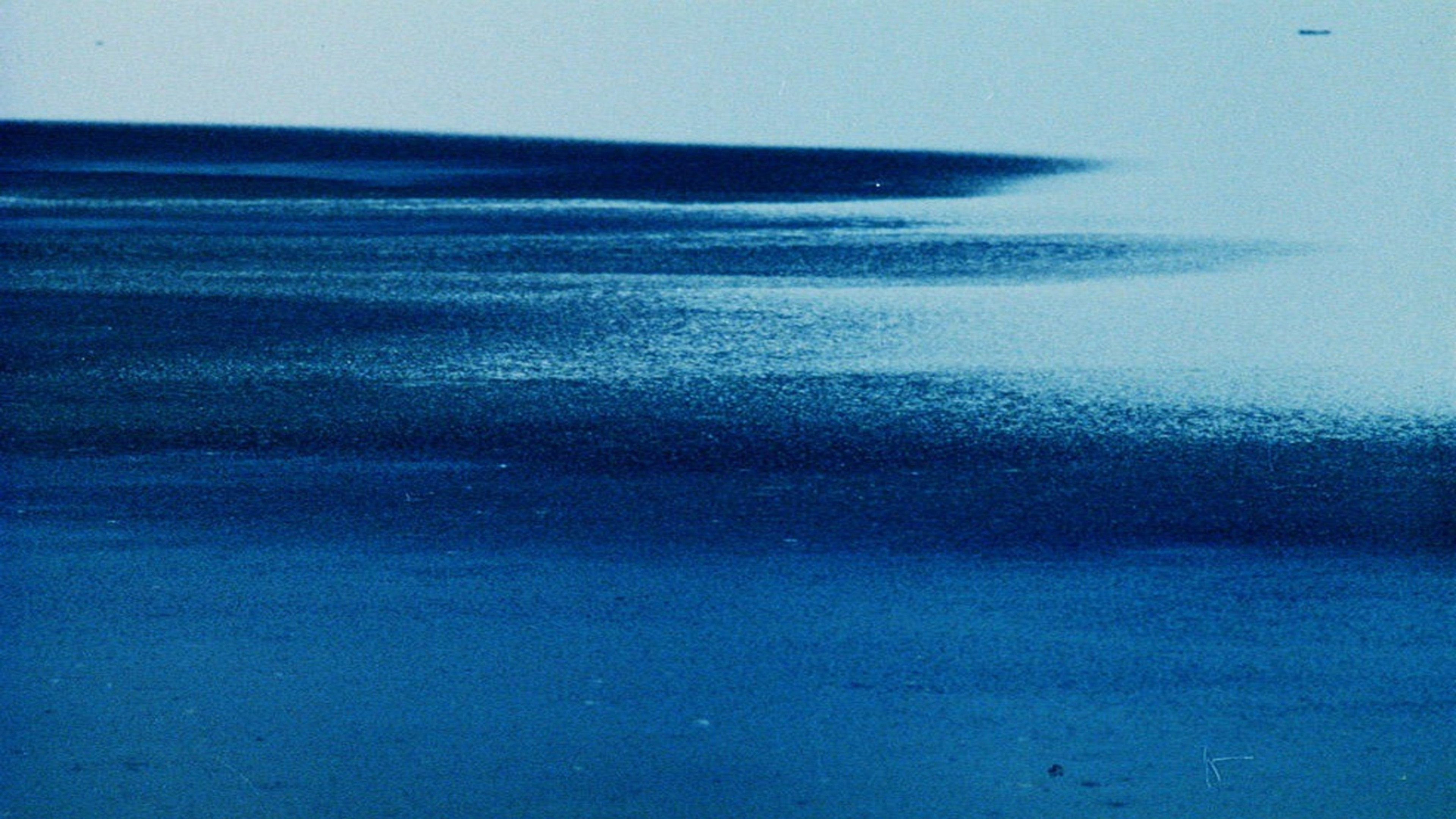 The Blue Planet's poster