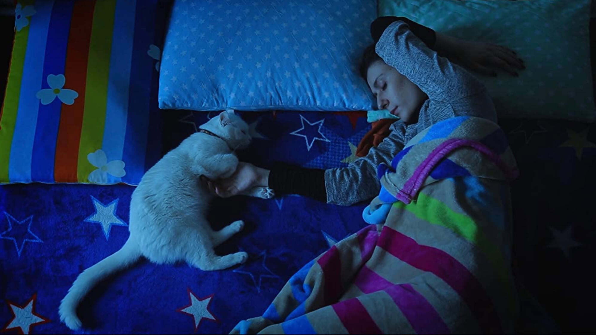 The Cats's poster