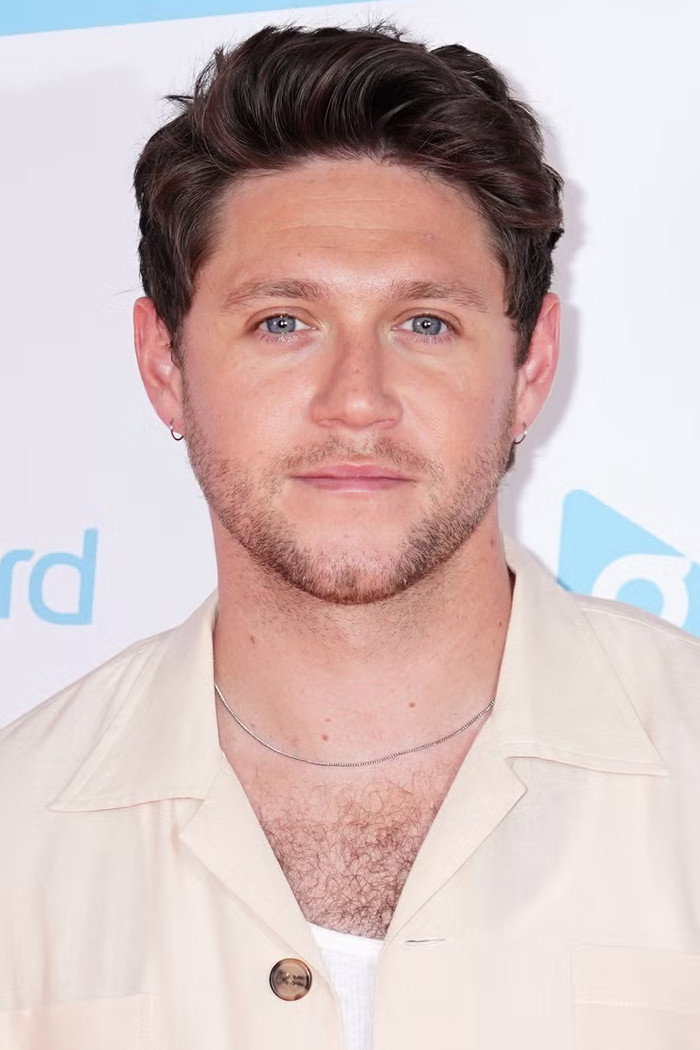 Niall Horan's poster