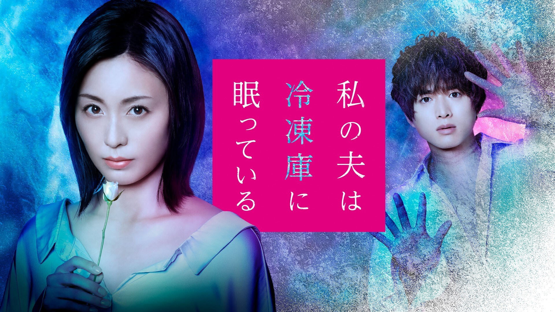Watashi no Otto wa Reitouko ni Nemutte Iru's poster