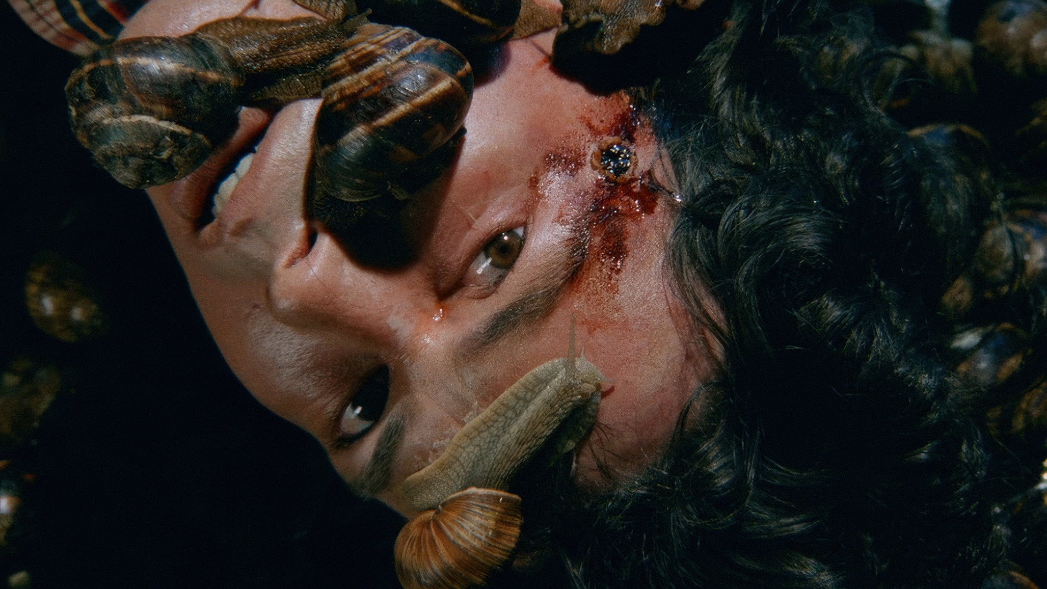 Snails in the Head's poster