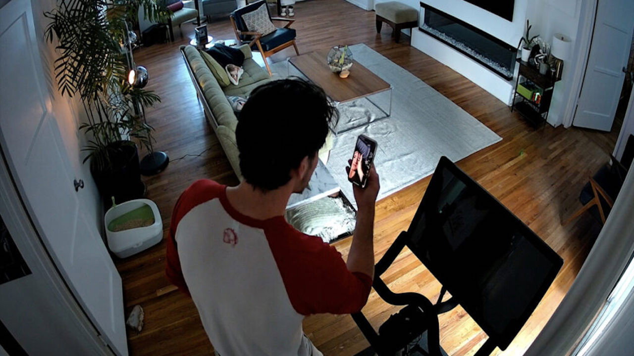 Cat Cam's poster