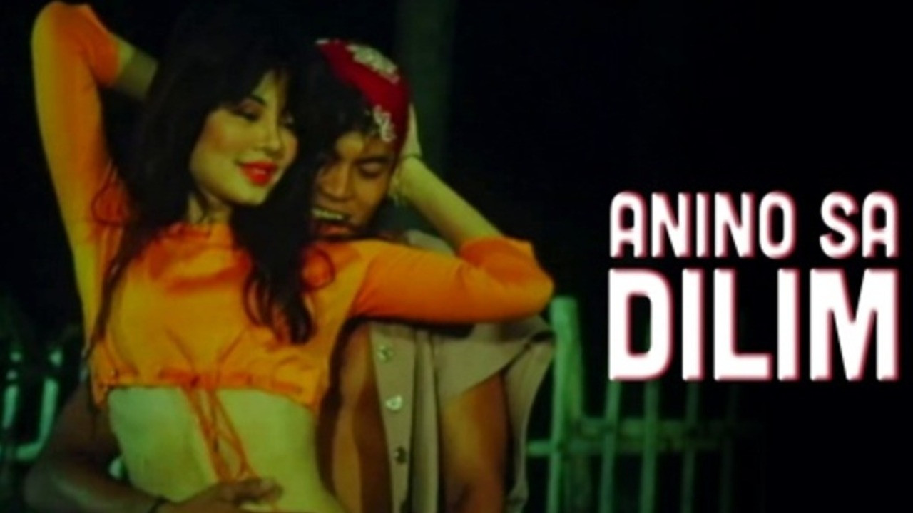 Anino Sa Dilim's poster